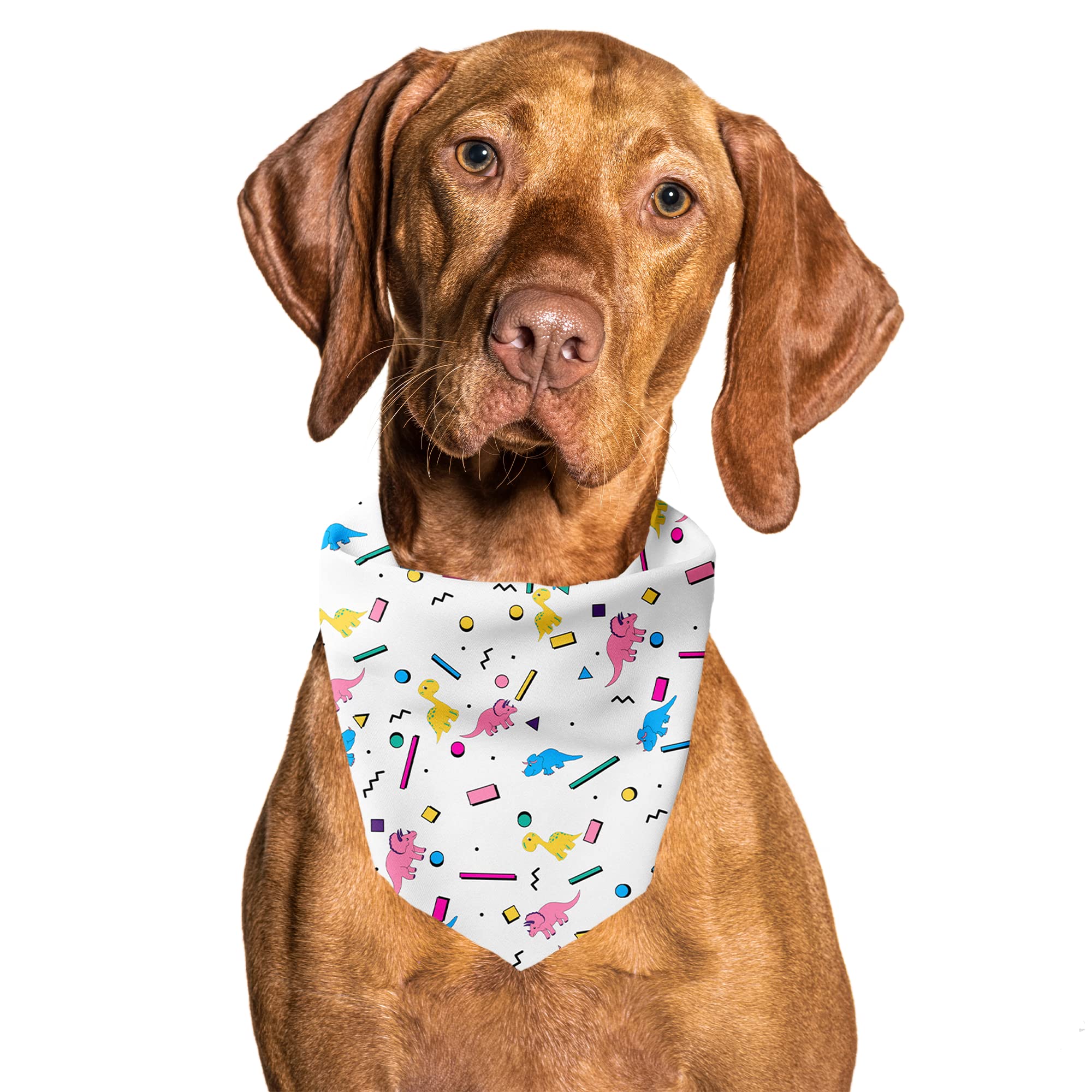 Cutie Ties Tie On Dog Bandana