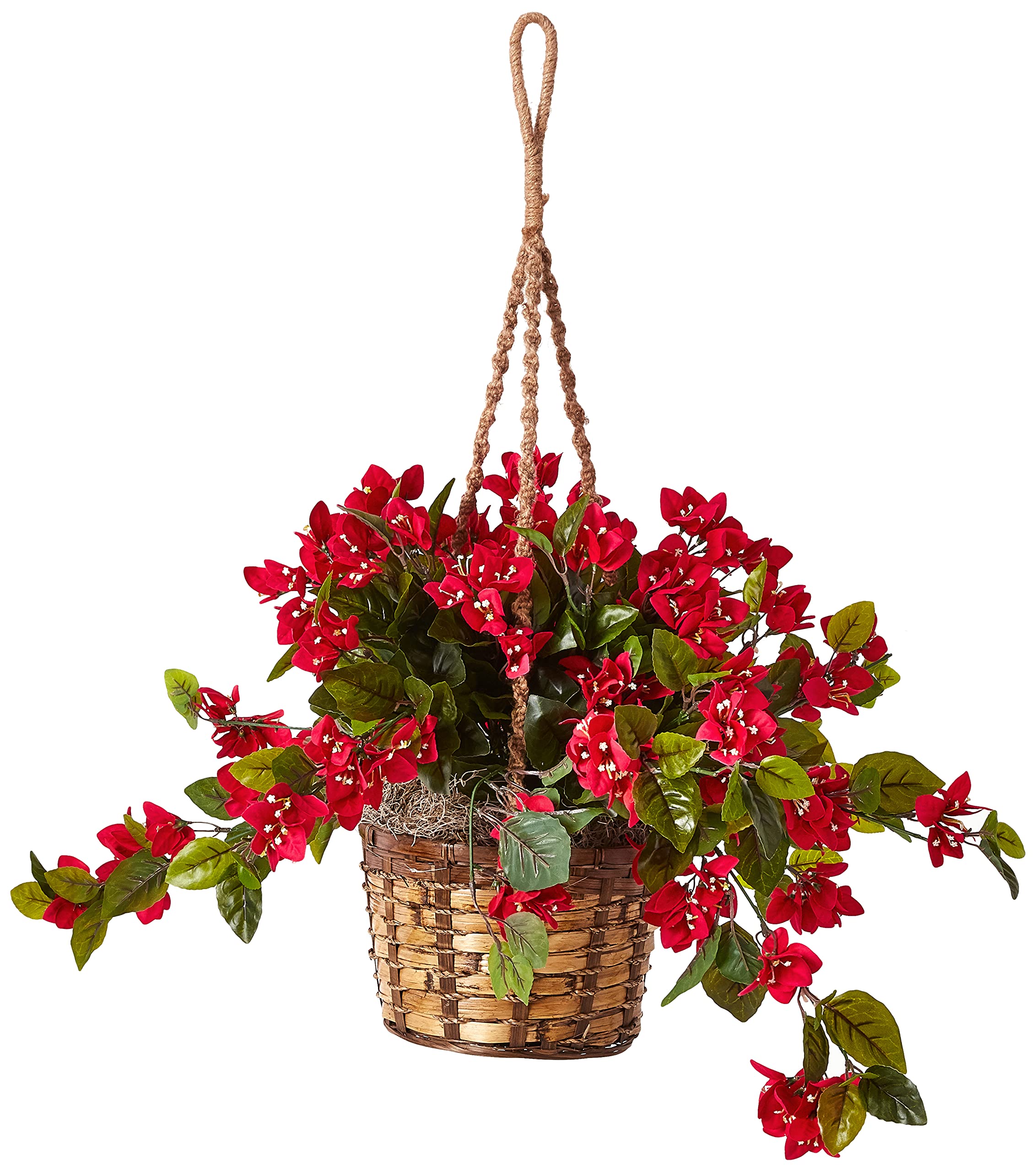 Bougainvillea Hanging Basket UV Resistant (Indoor/Outdoor)