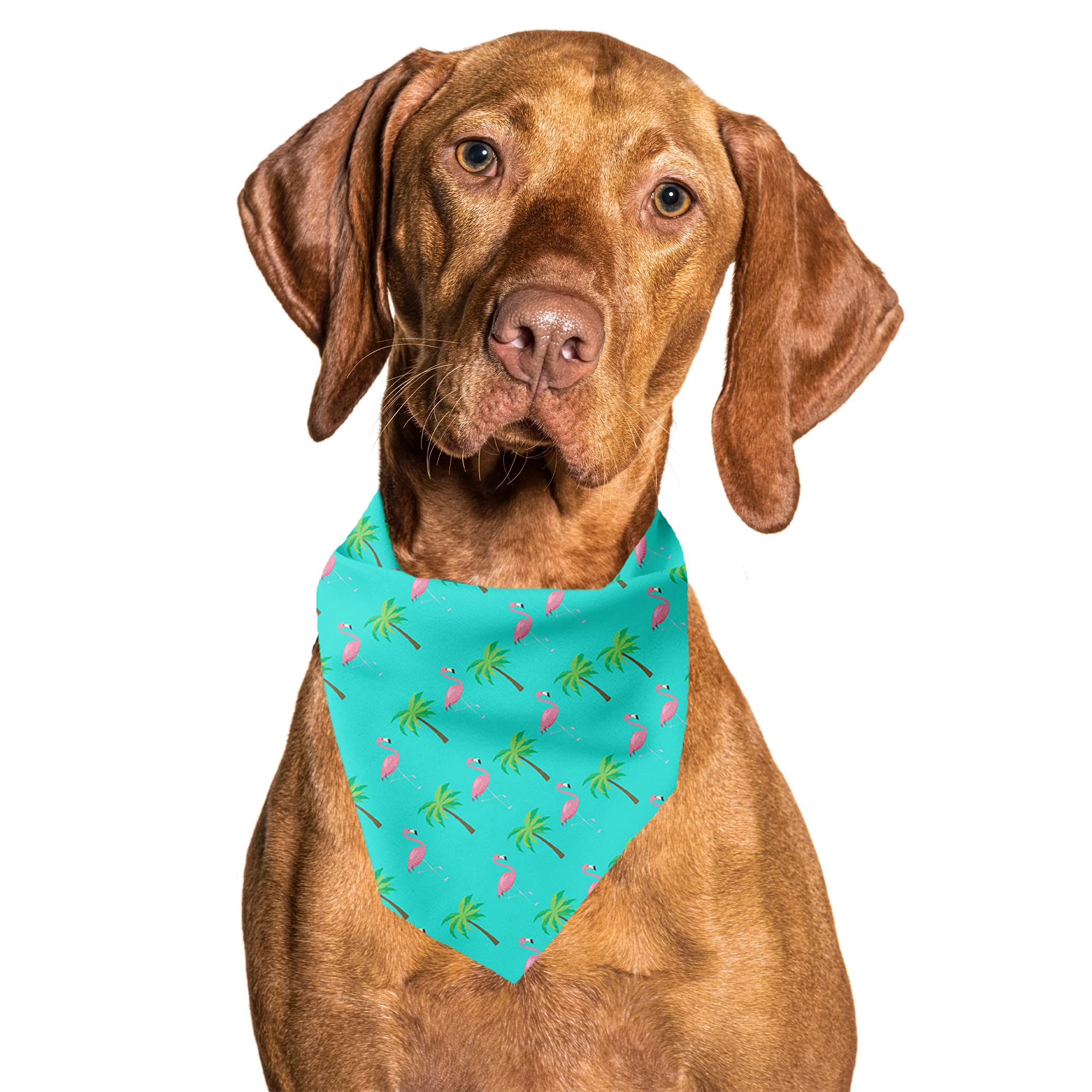 Cutie Ties Tie On Dog Bandana
