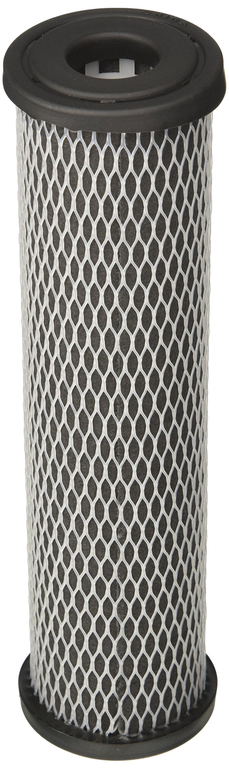 155002-43 / C1 Pentek Undersink Filter Replacement Cartridge