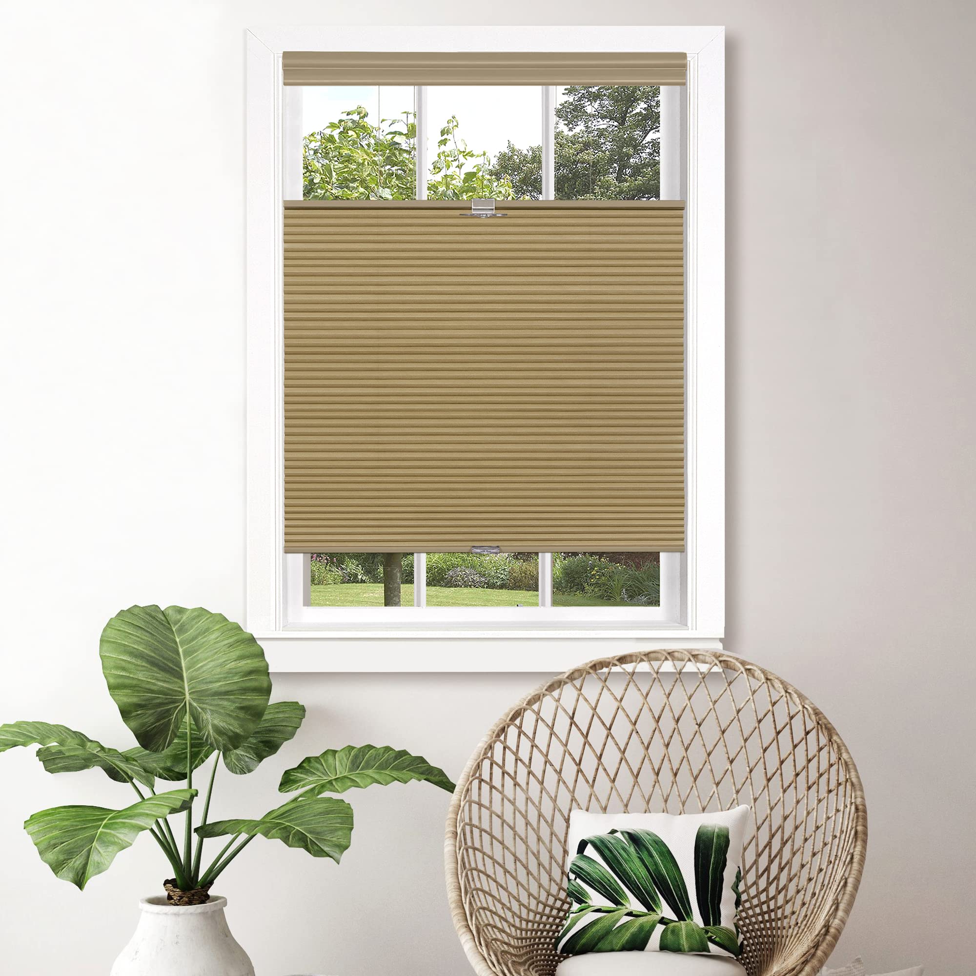 Top Down-Bottom Up Cordless Honeycomb Cellular Shade 39x64 Wheat