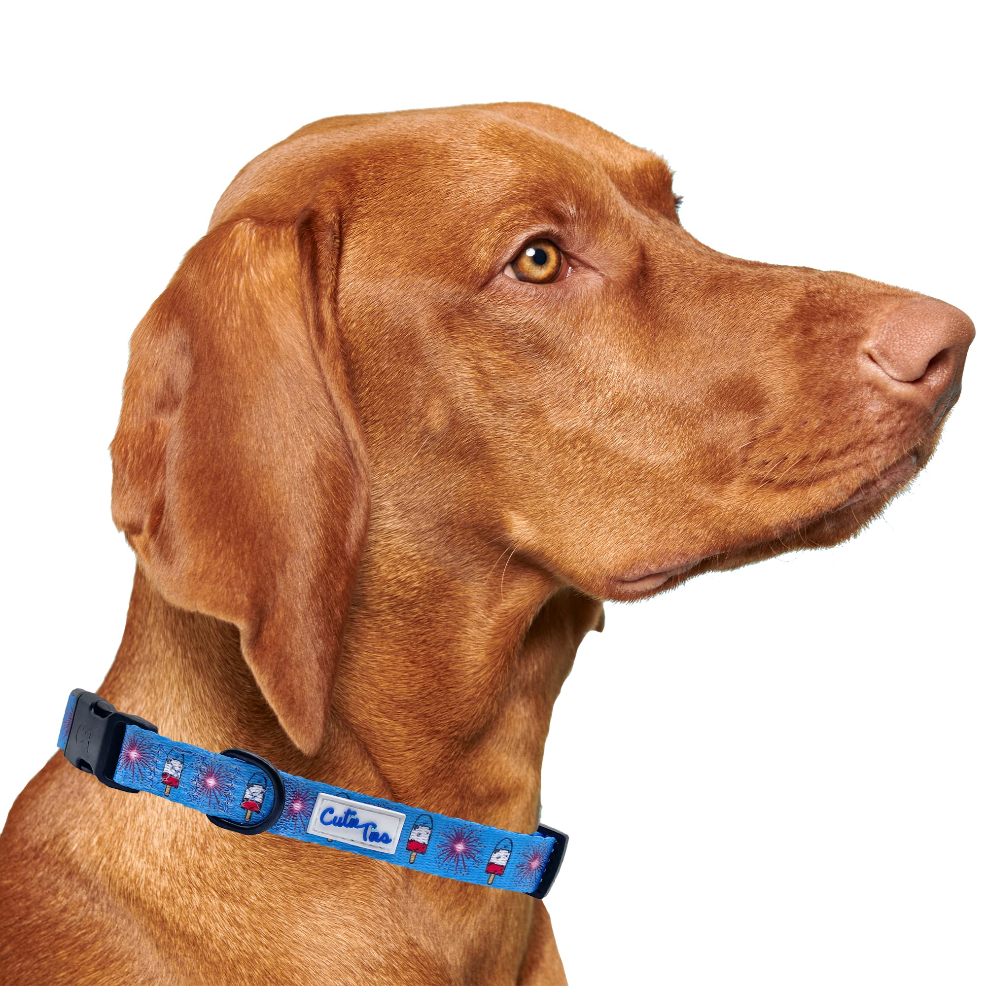 Cutie Ties Fun Design Dog Collar