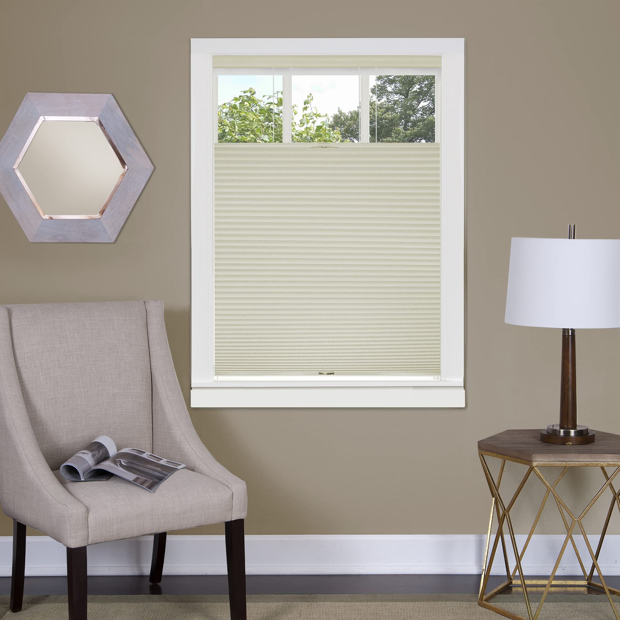 Top Down-Bottom Up Cordless Honeycomb Cellular Shade 29x64 Alabaster