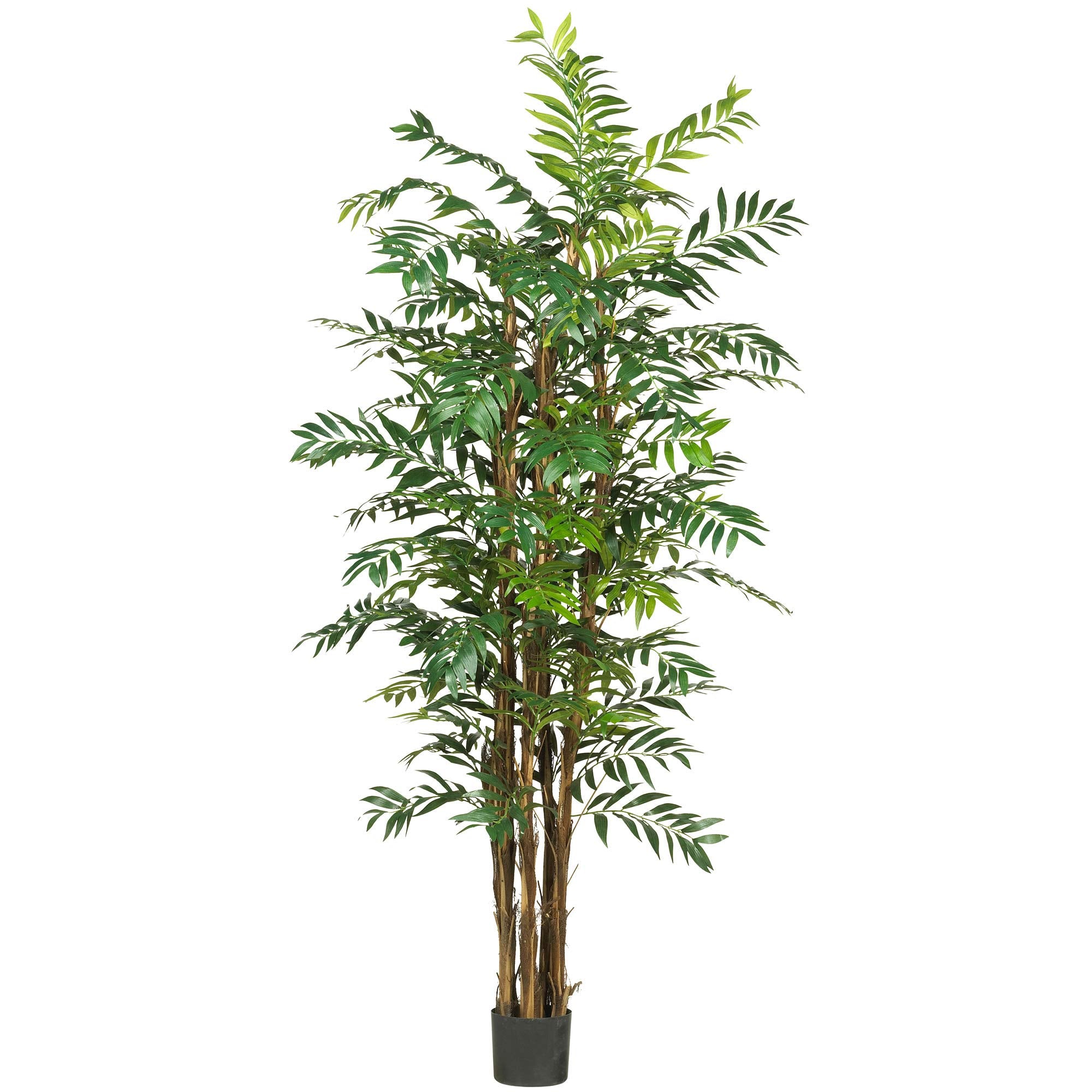 7 Bamboo Palm Silk Tree