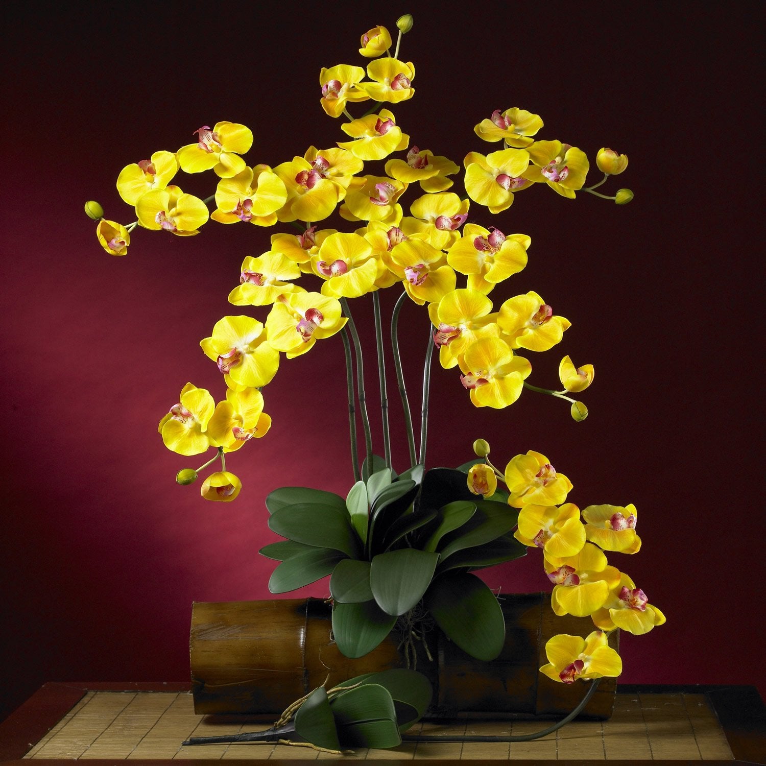 Phalaenopsis Silk Orchid Flower w/Leaves 6 Stems)