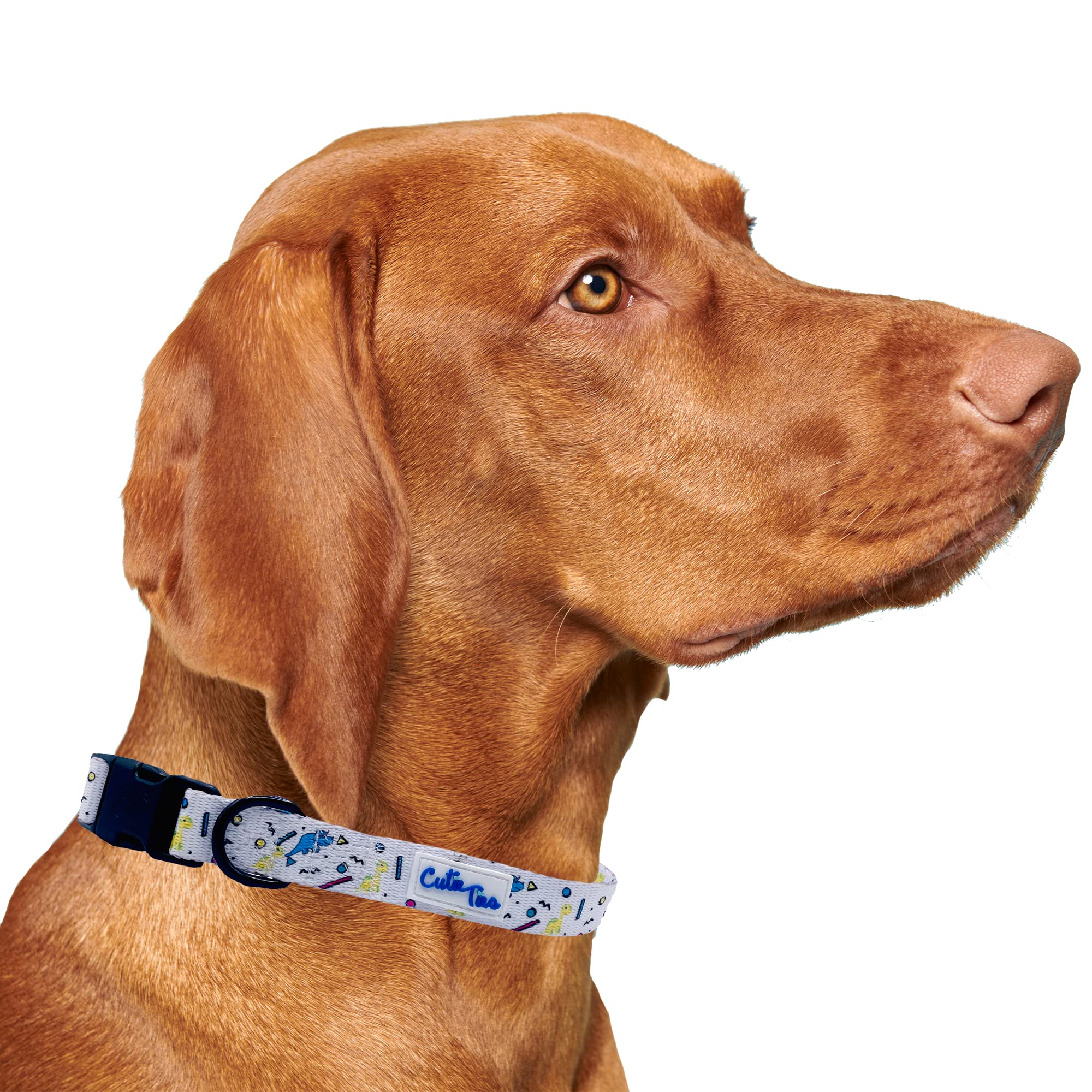 Cutie Ties Fun Design Dog Collar