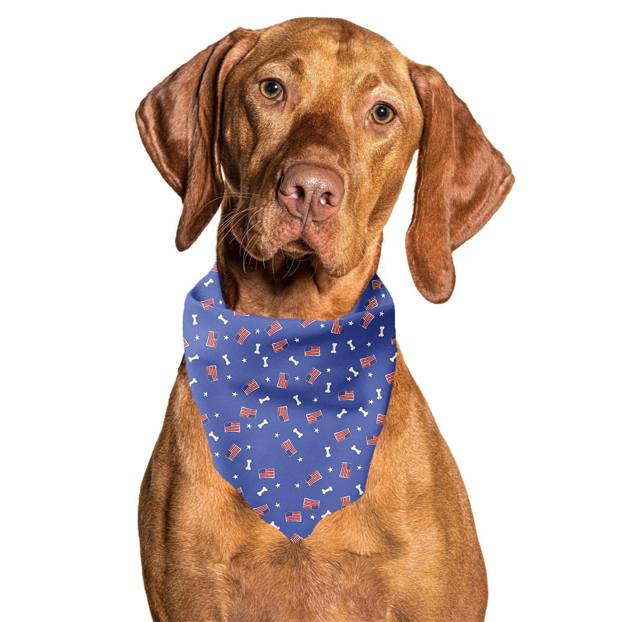Cutie Ties Tie On Dog Bandana