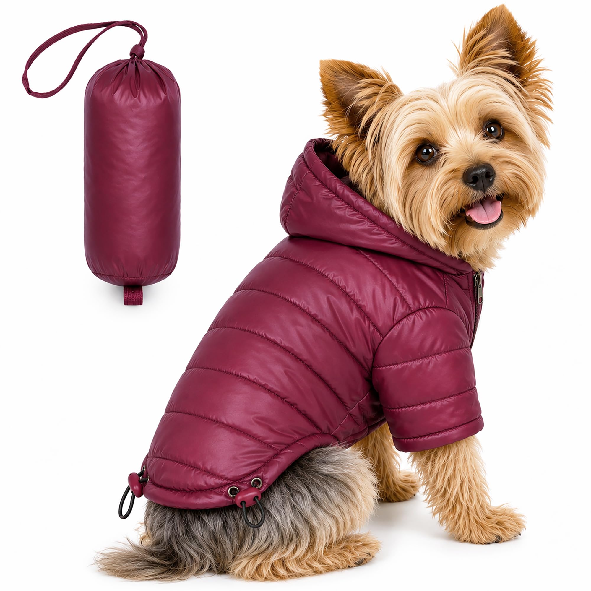 Lightweight Adjustable Sporty Avalanche Pet Coat
