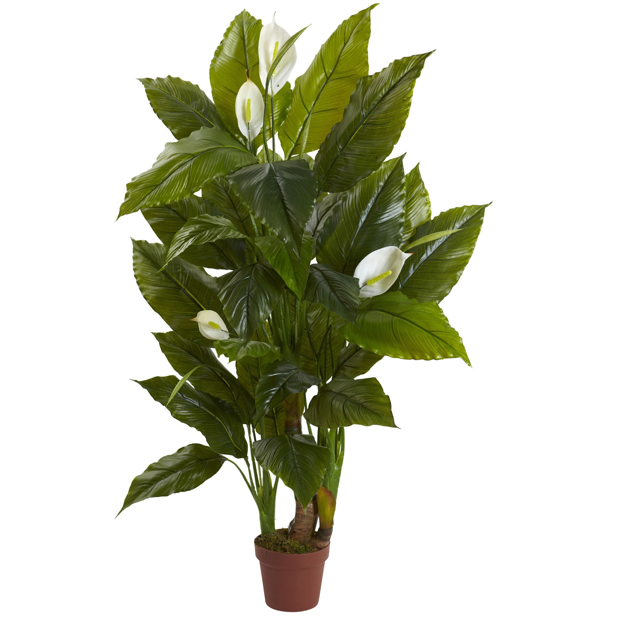 4.5″ Spathyfillum Plant (Real Touch)