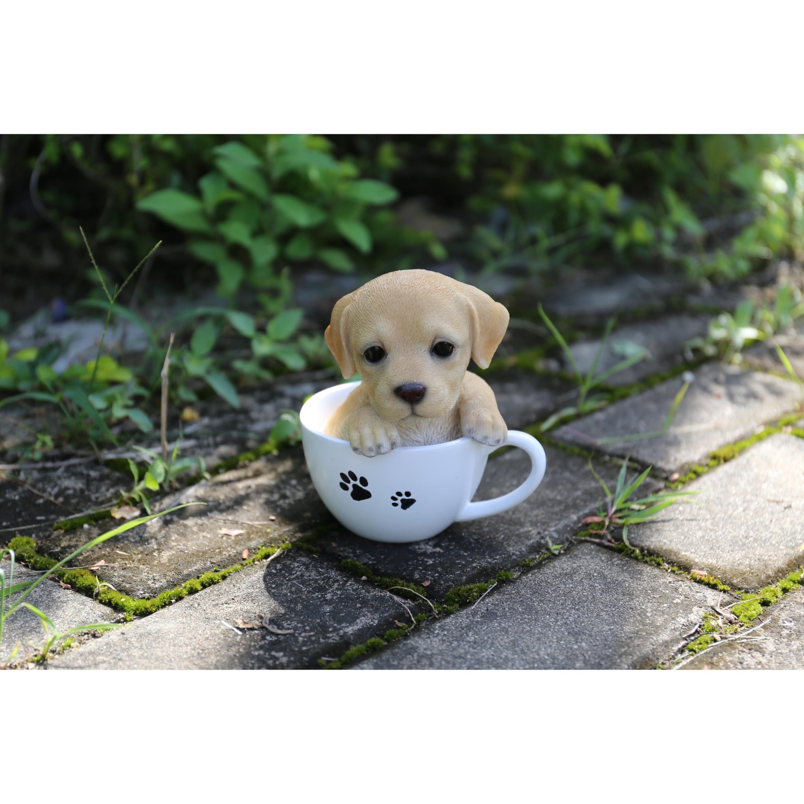 Hi-Line Gift Ltd 87706-A Teacup Labrador Puppy Statue