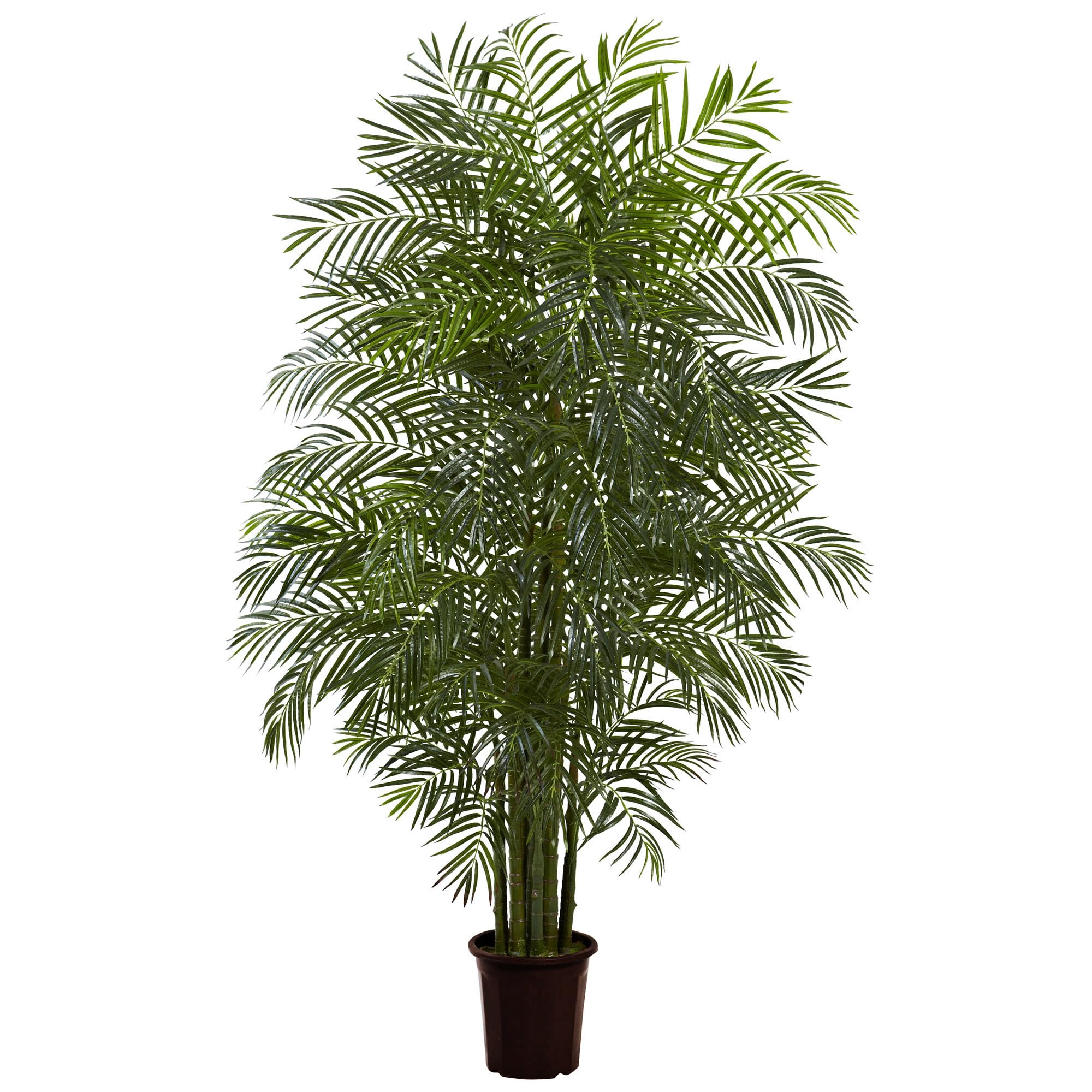 7.5 Areca Palm W/1966 Lvs UV Resistant (Indoor/Outdoor)