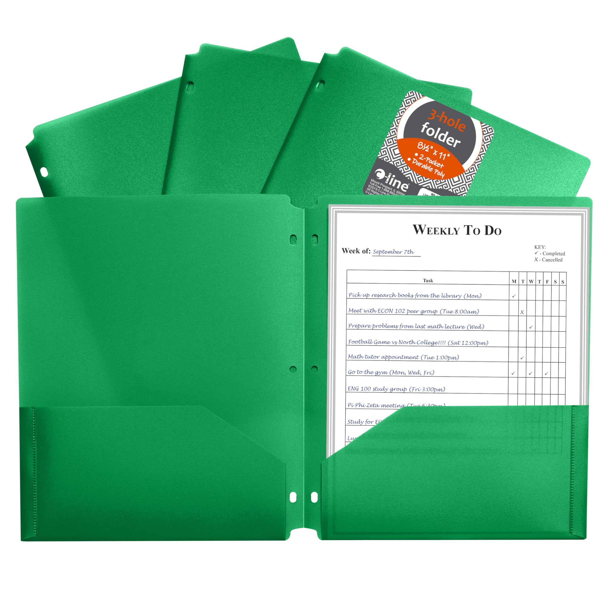 Two-Pocket Heavyweight Poly Portfolio Folder with Three-Hole Punch, Green, 33933, 1/EA (Set of 25 EA)