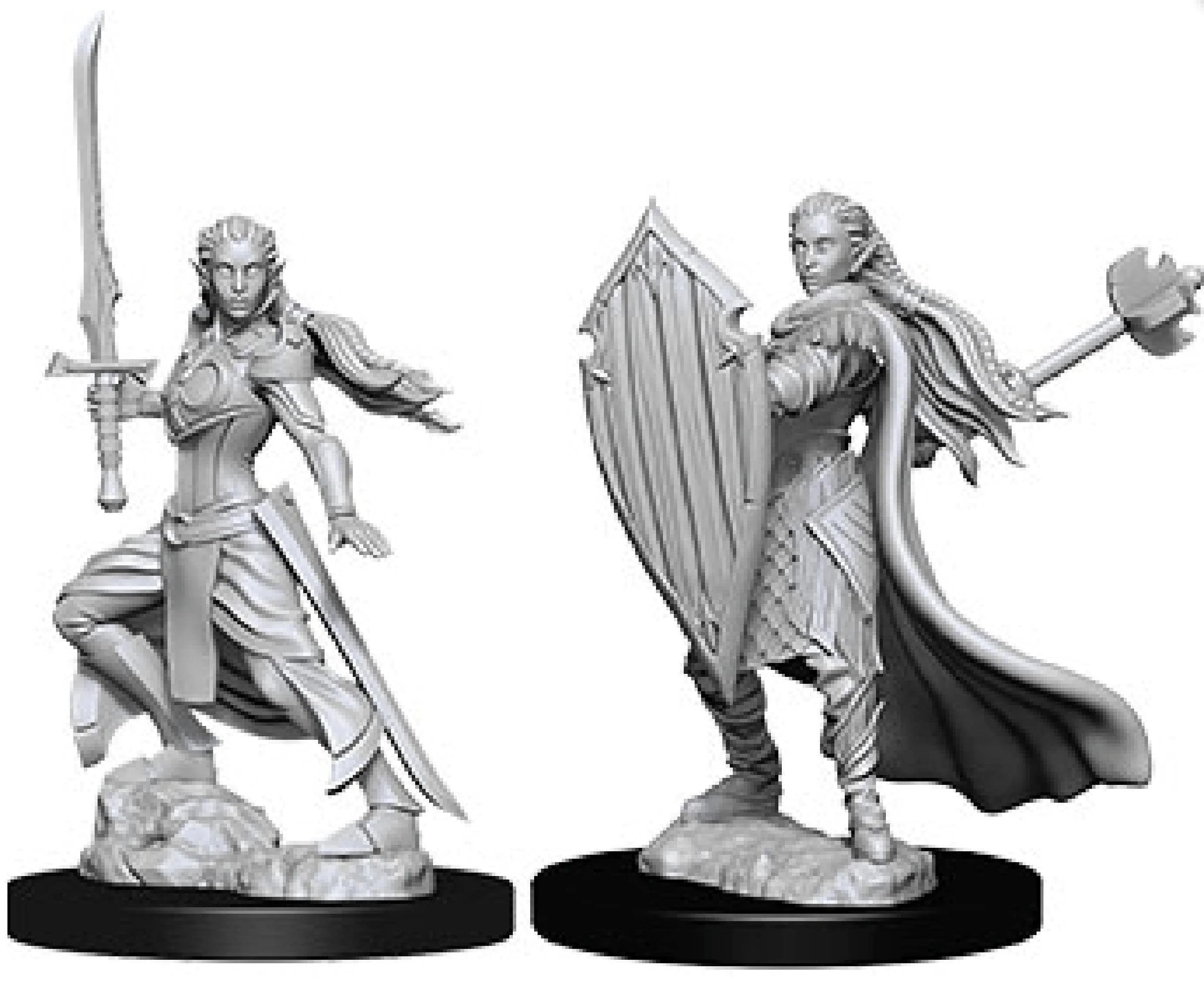 D&D: Nolzurs Marvelous Minis: Female  Paladin W9 (Unpainted)