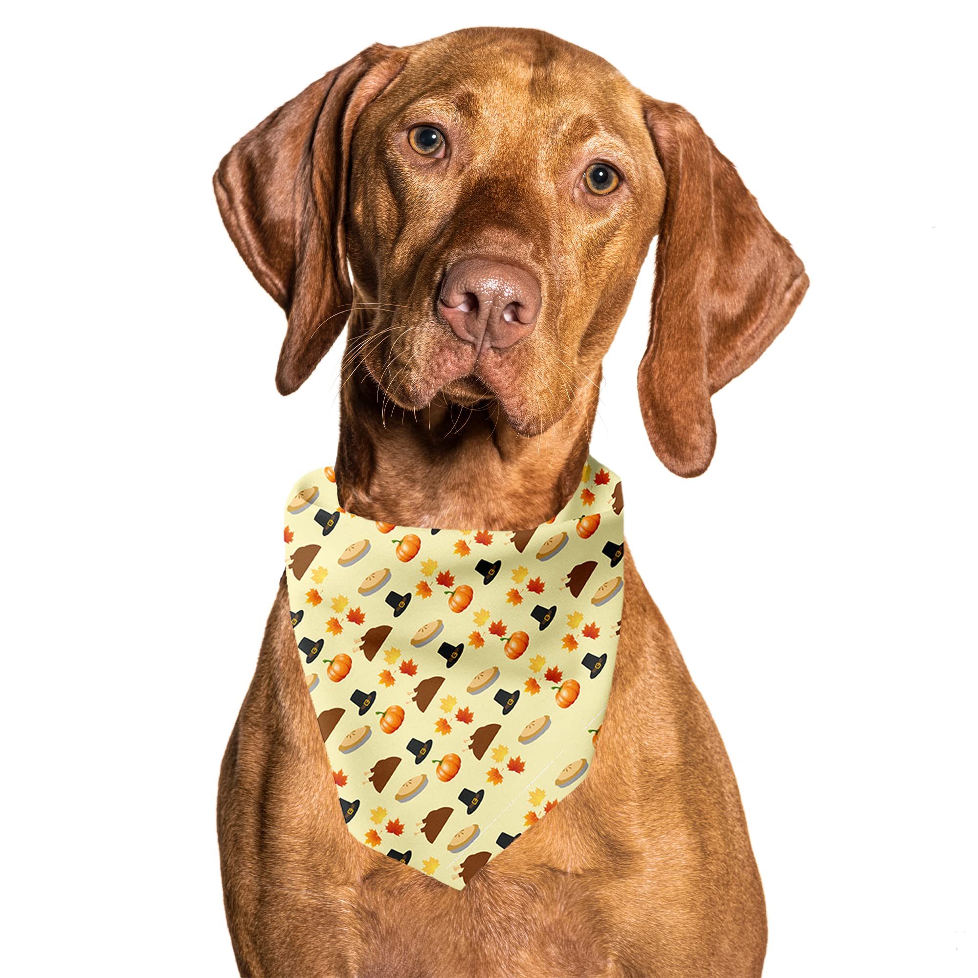 Cutie Ties Tie On Dog Bandana