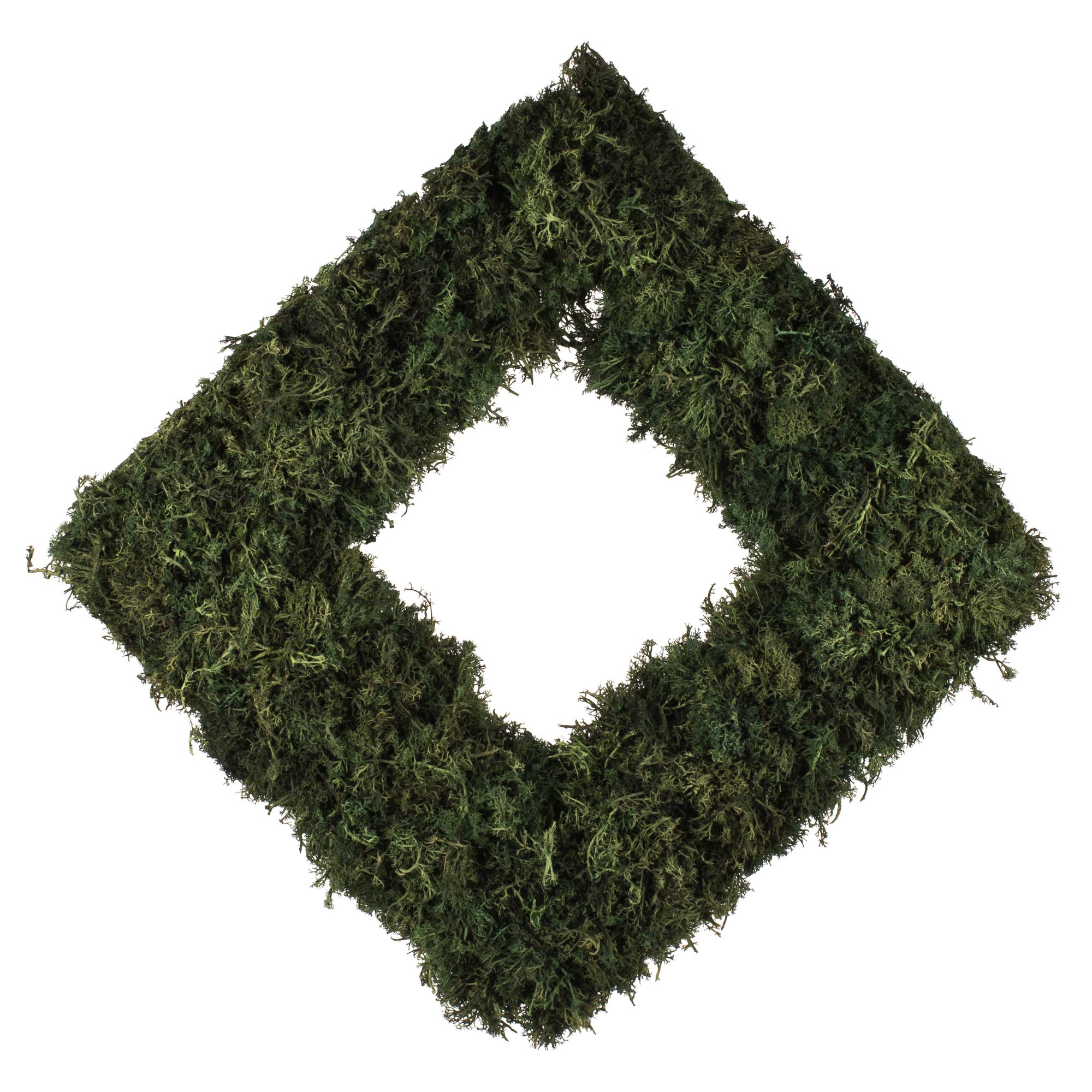 Casafoyer  15.5 ” Reindeer Moss Square-Dark Green - FQ170102 - (Pack Of 2)
