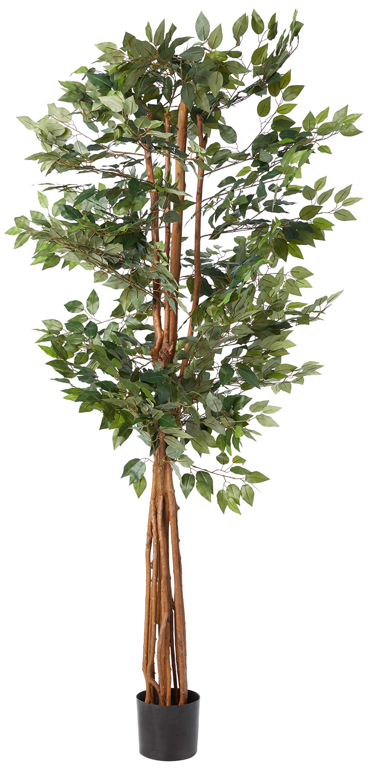 7.5″ Super Deluxe Ficus Tree