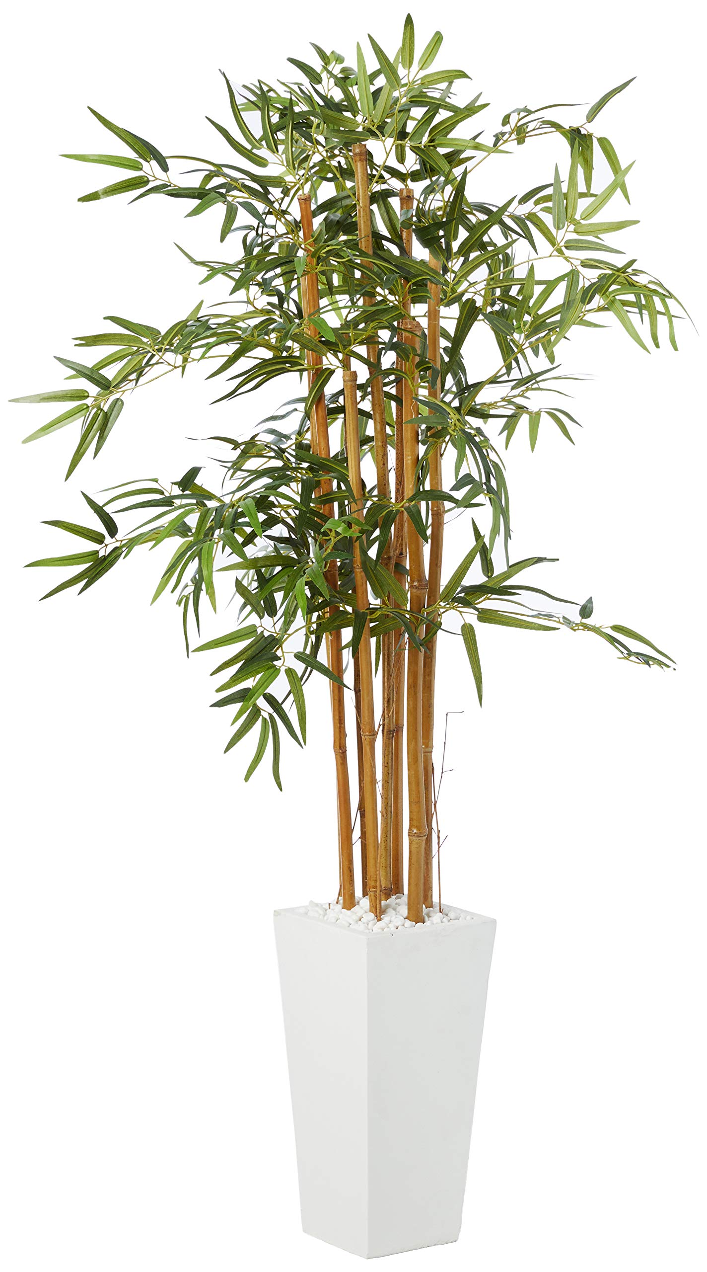 5 Bamboo Tree in White Tower Planter
