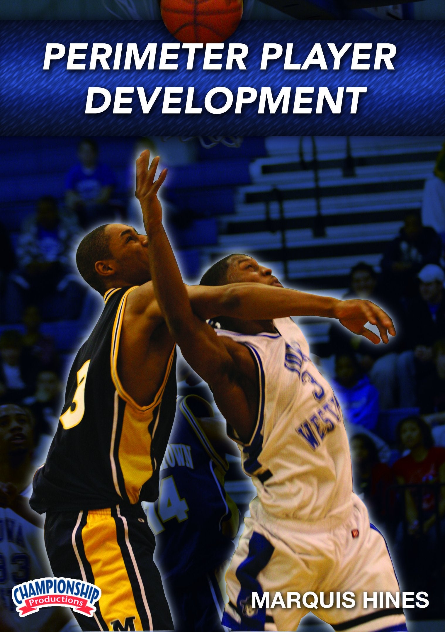 PERIMETERPLAYERDEVELOPMENT(HINES)