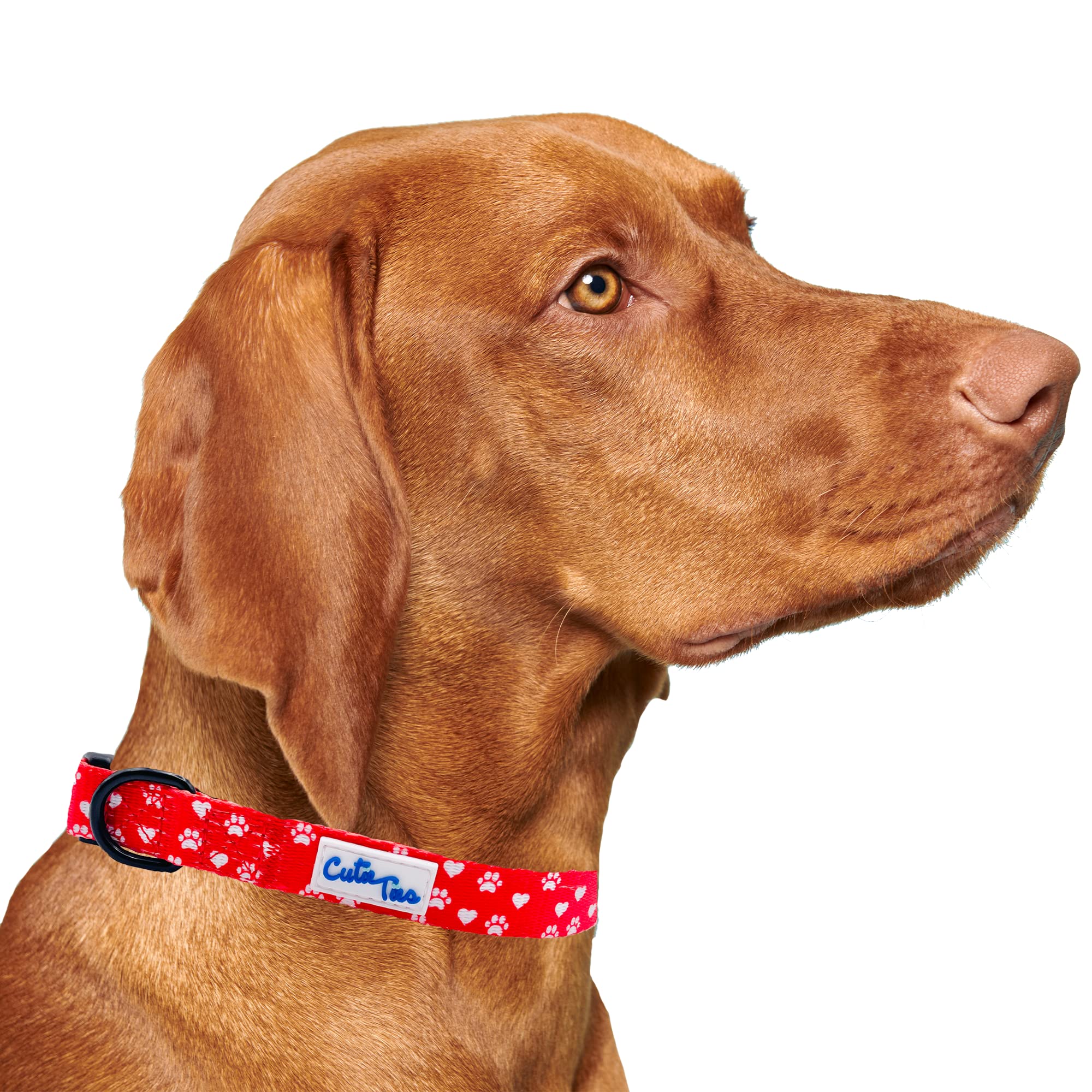 Cutie Ties Fun Design Dog Collar