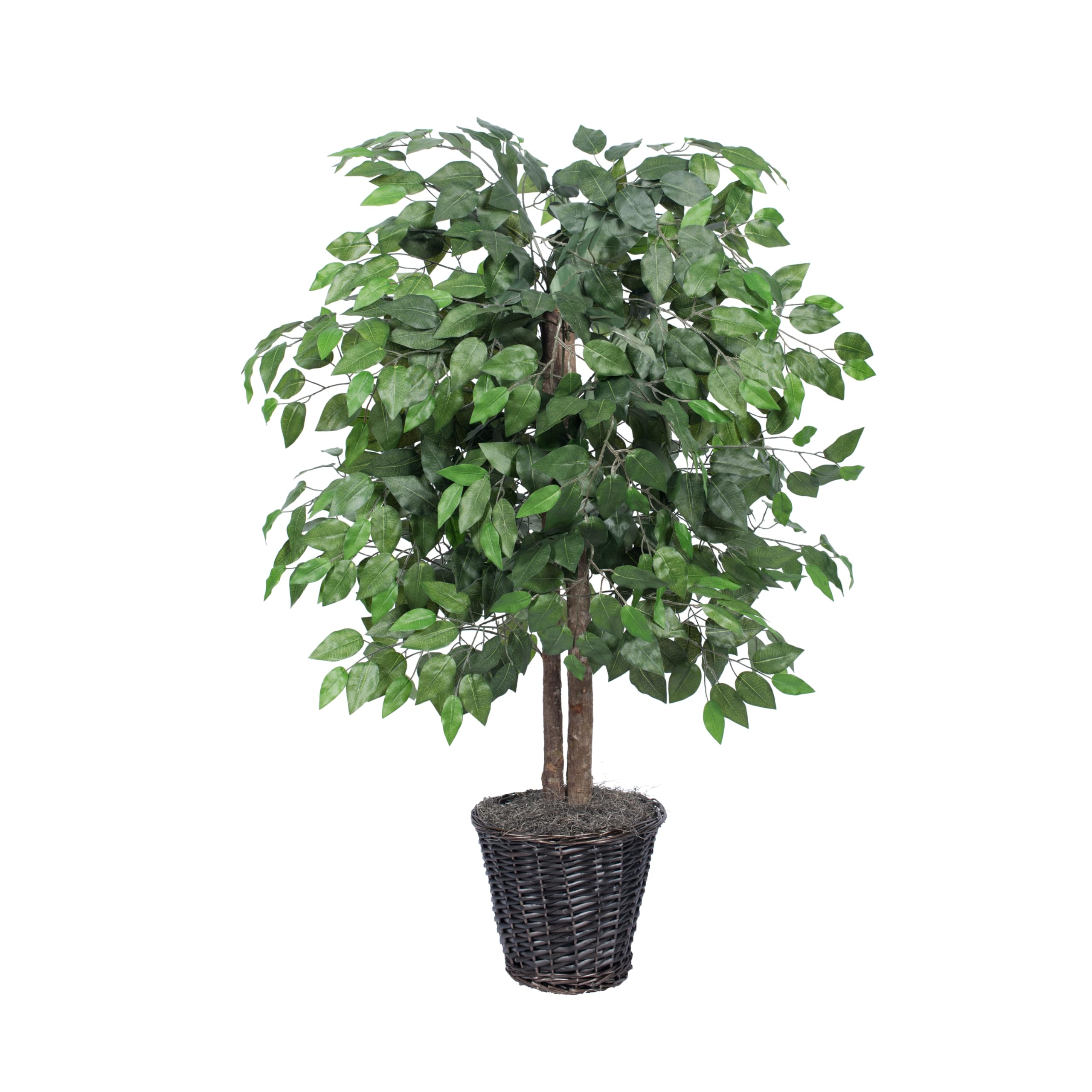 Casafoyer  4' Ficus Bush - TBU0140 - (Pack Of 2)