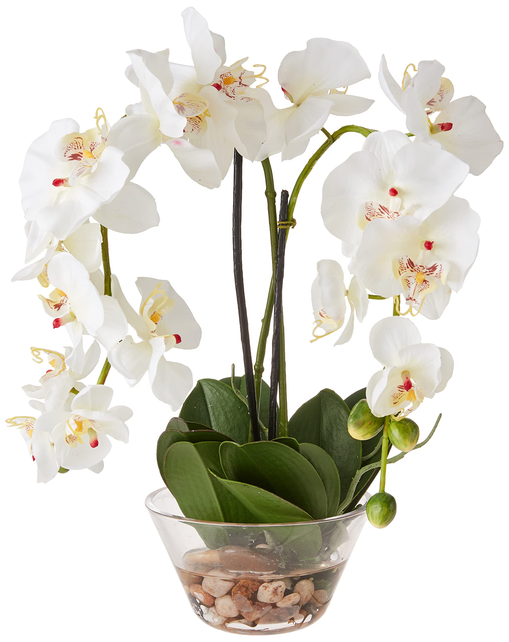 Phalaenopsis w/Glass Vase Silk Flower Arrangement