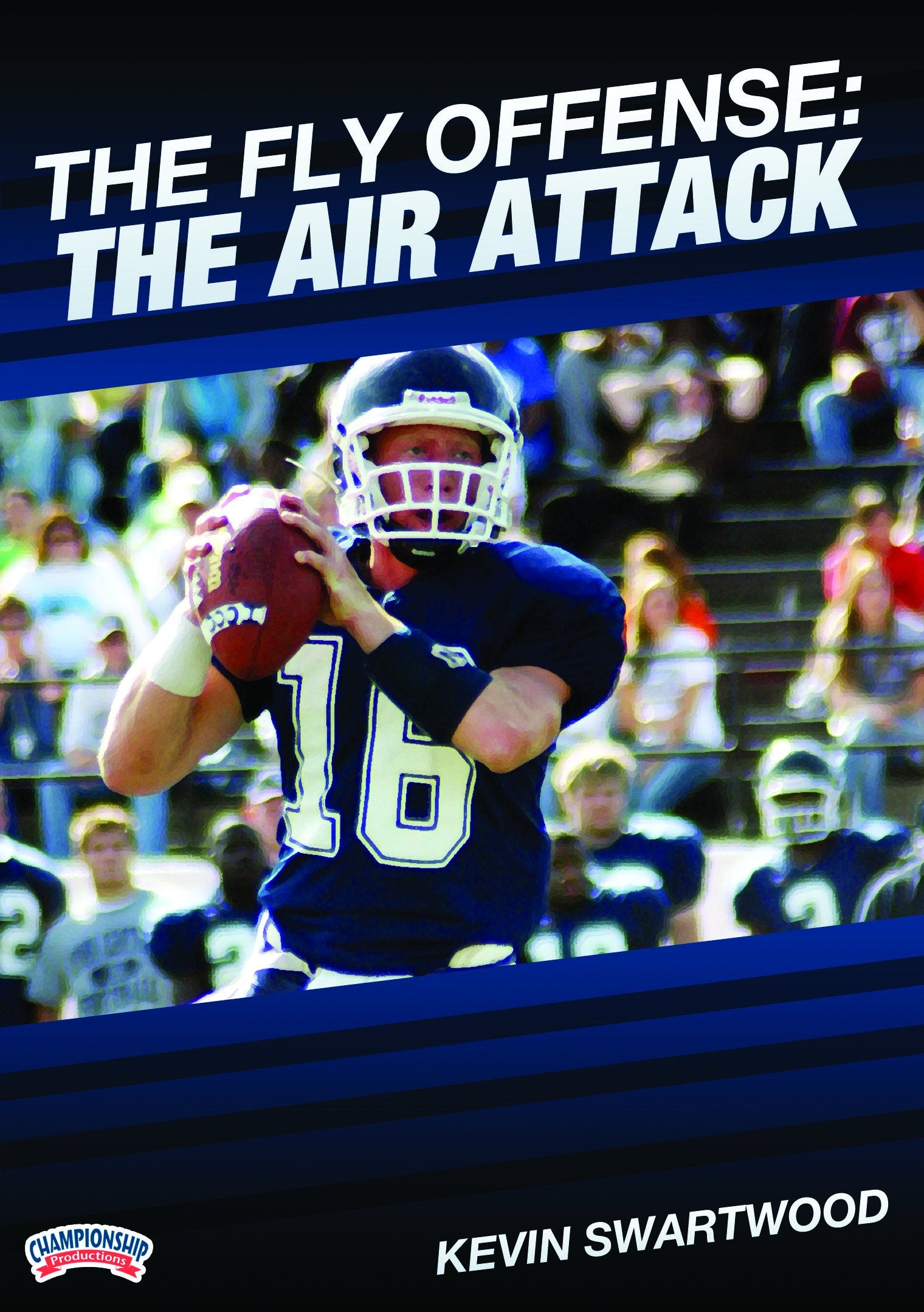 THEFLYOFFENSE:THEAIRATTACK(SWARTWOOD)