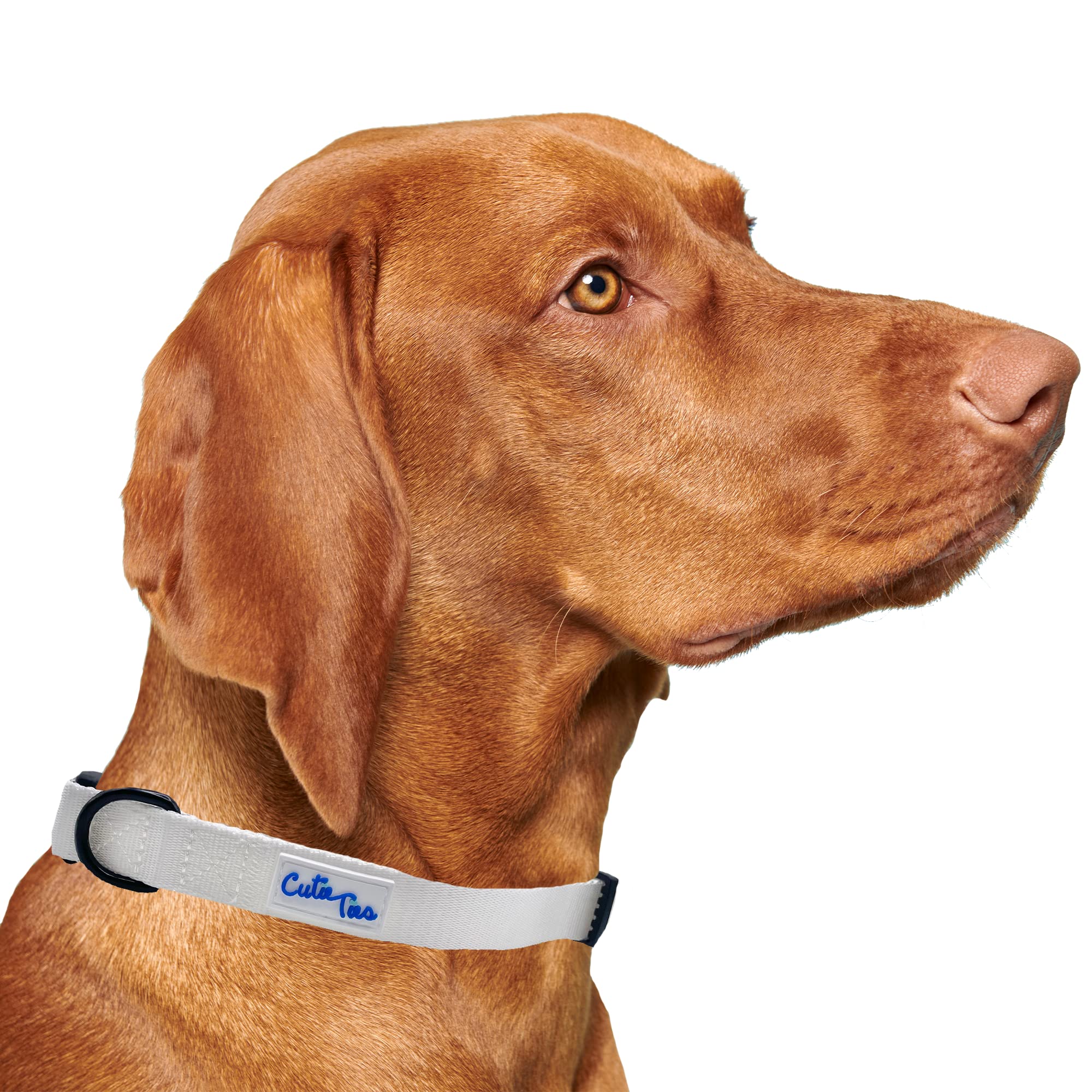 Cutie Ties Fun Design Dog Collar