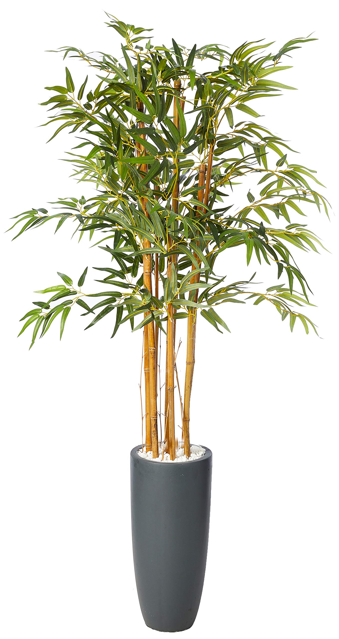 5 Bamboo Tree in Gray Cylinder Planter