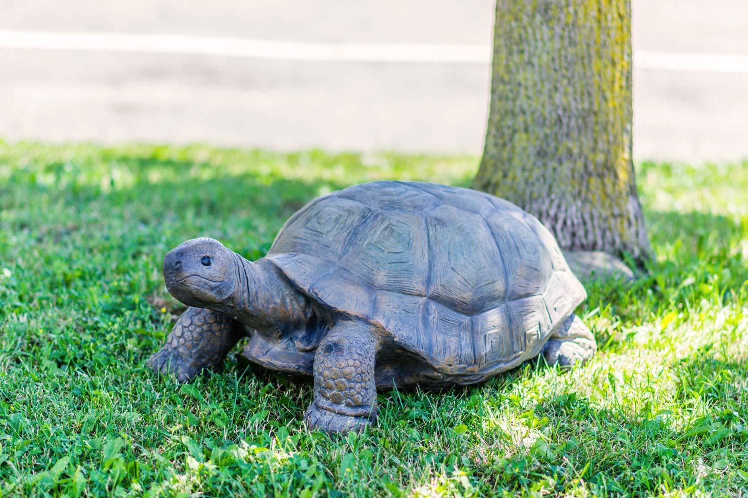 Hi-Line Gift Ltd 75629-B Large Turtle