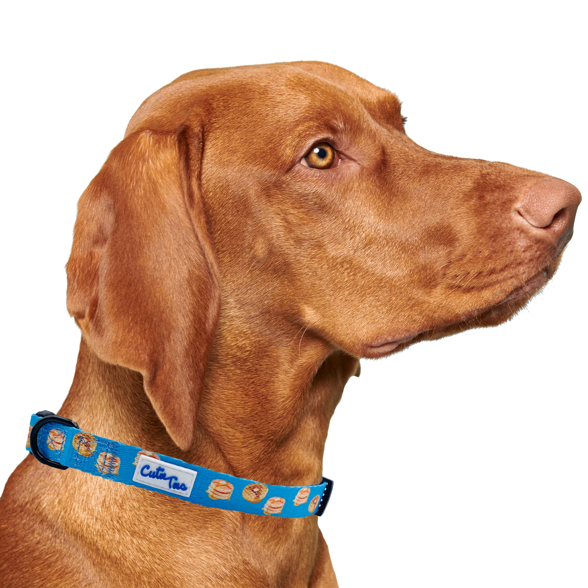 Cutie Ties Fun Design Dog Collar