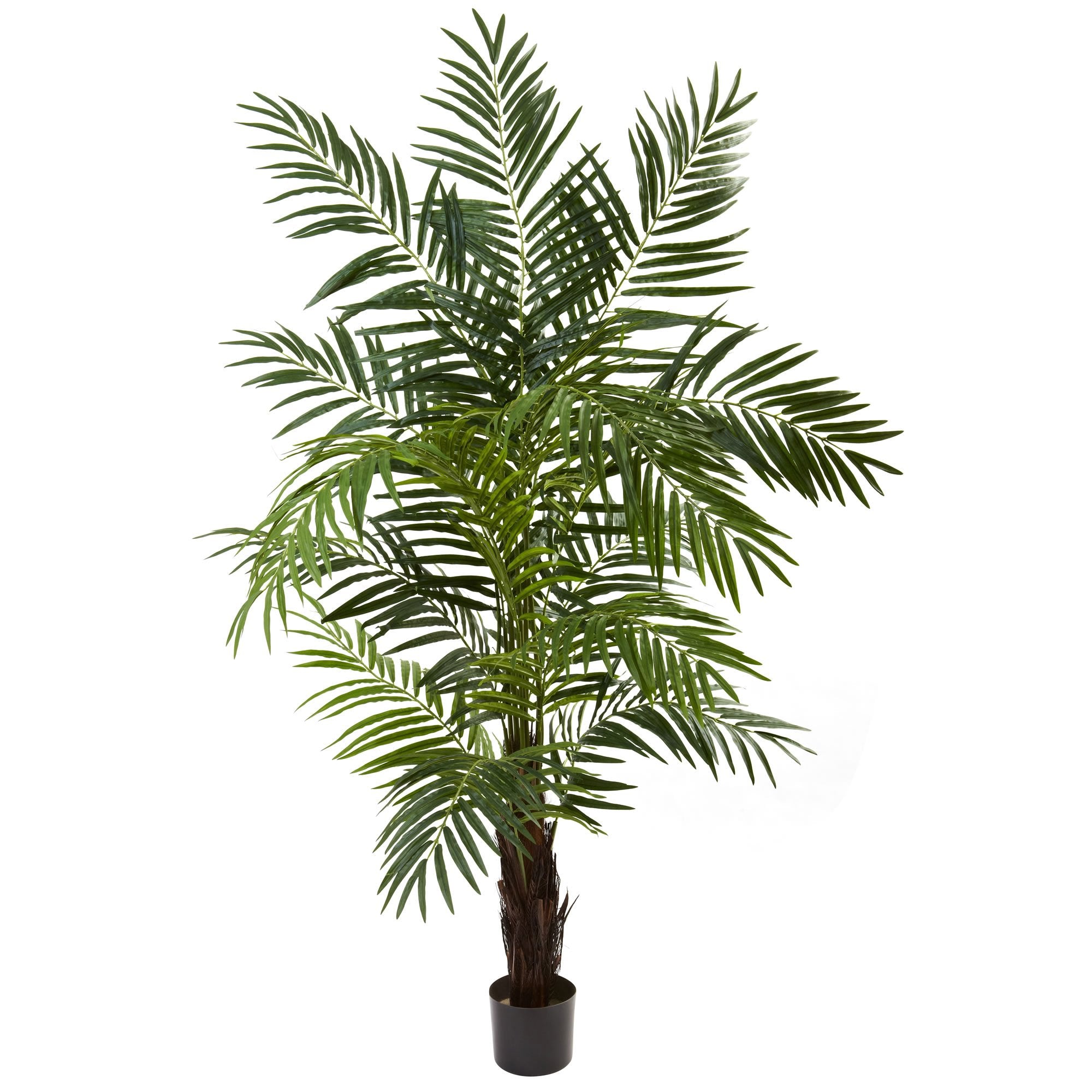 6″ Areca Palm Tree