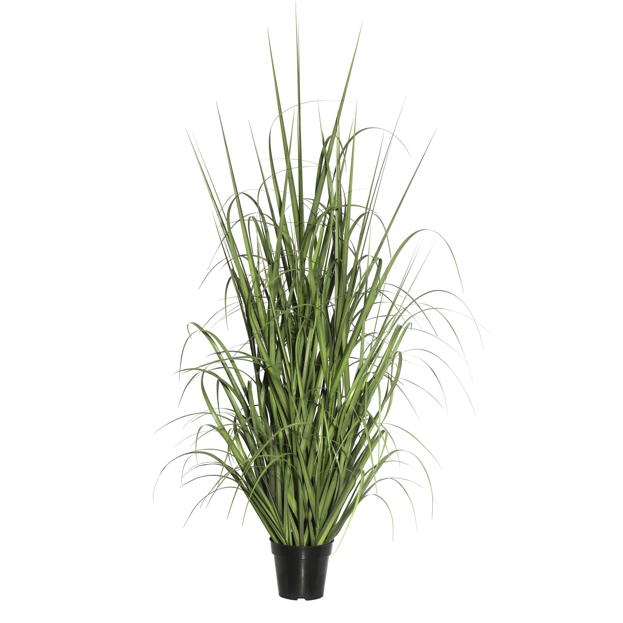 Casafoyer  60” Green Ryegrass in Pot - TN170160 - (Pack Of 2)