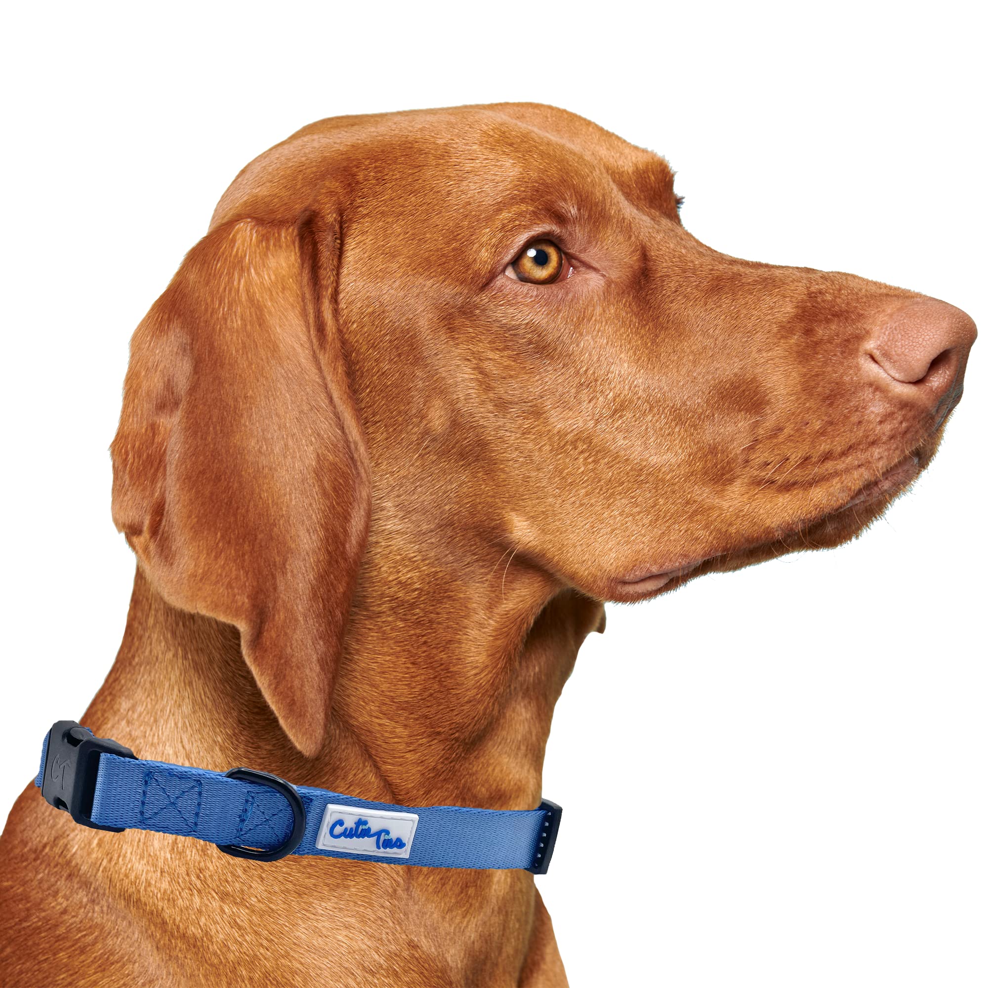 Cutie Ties Fun Design Dog Collar