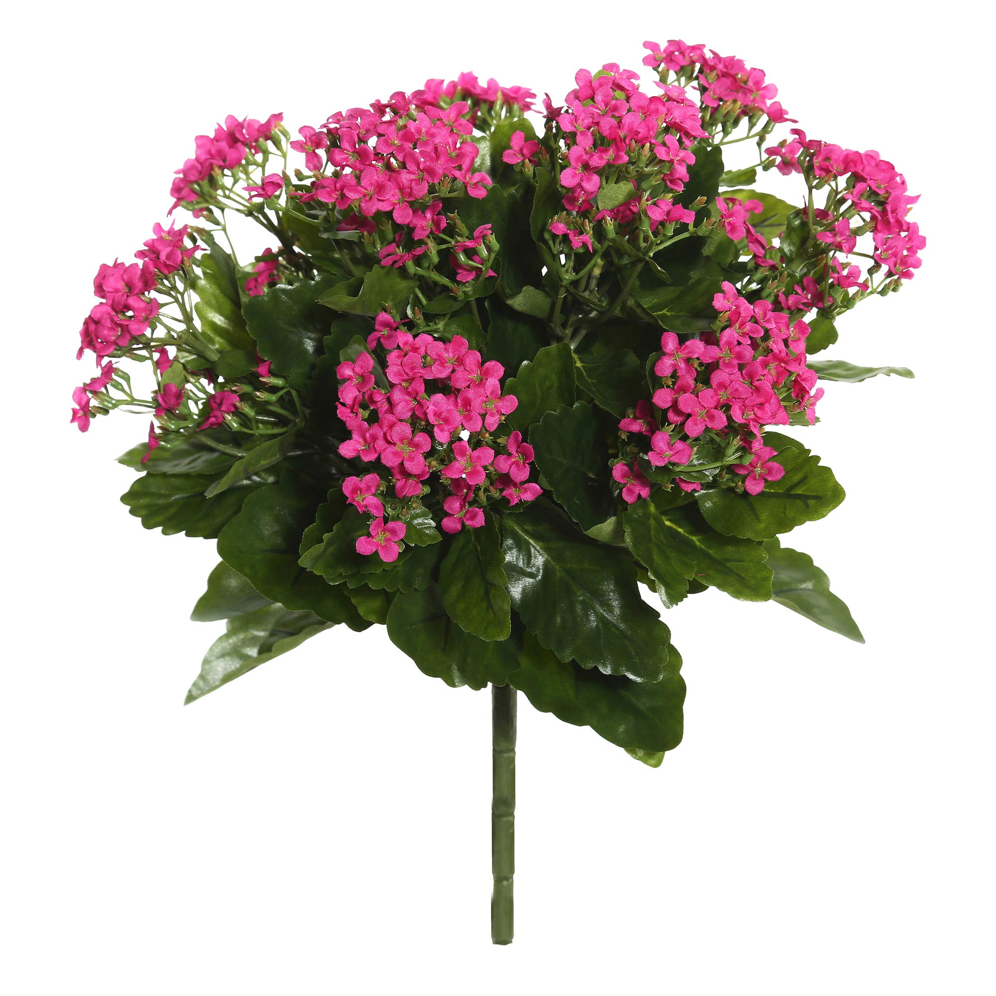 Casafoyer  15” Hot Pink Kalanchoe Bush - FL170204 | (2 Units)