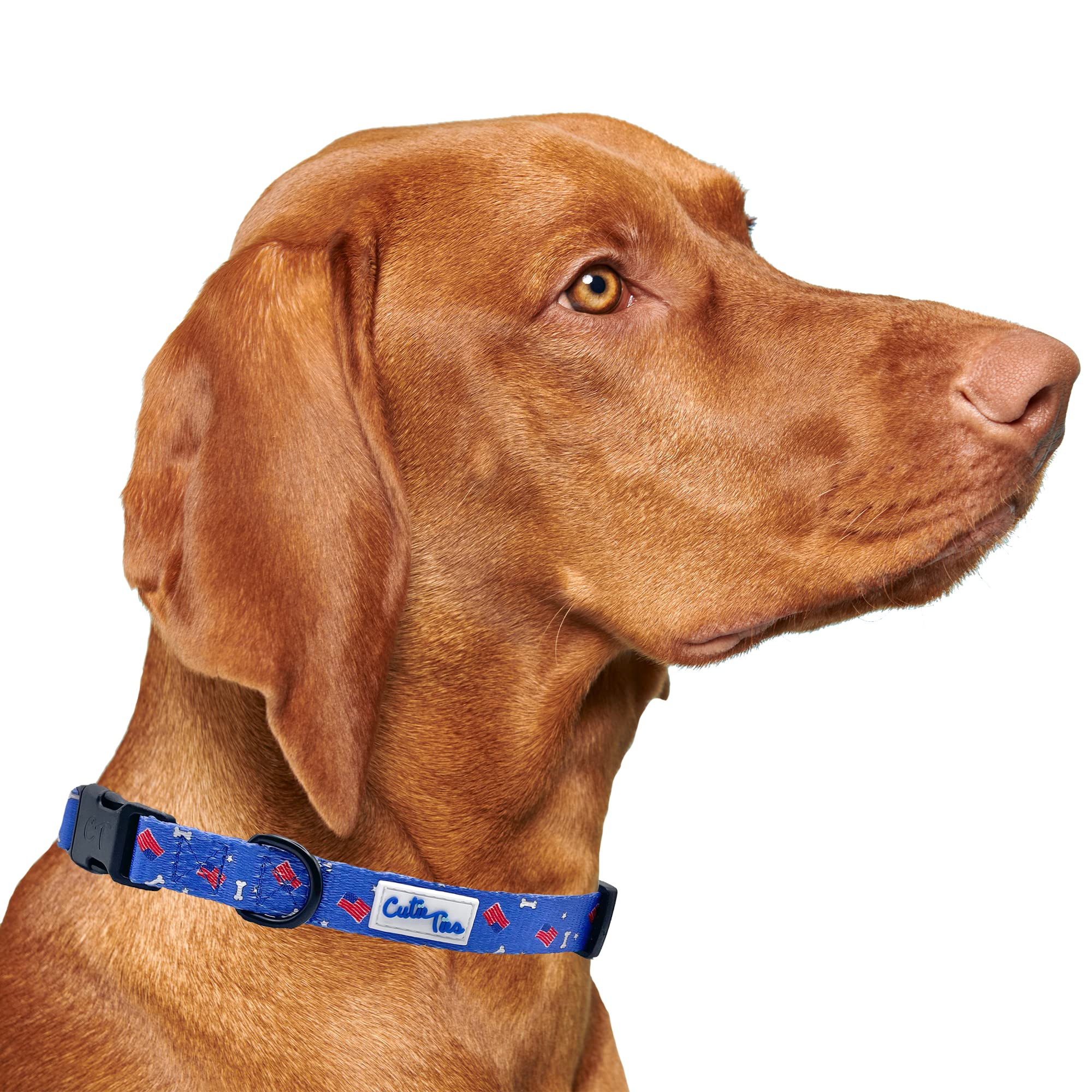 Cutie Ties Fun Design Dog Collar