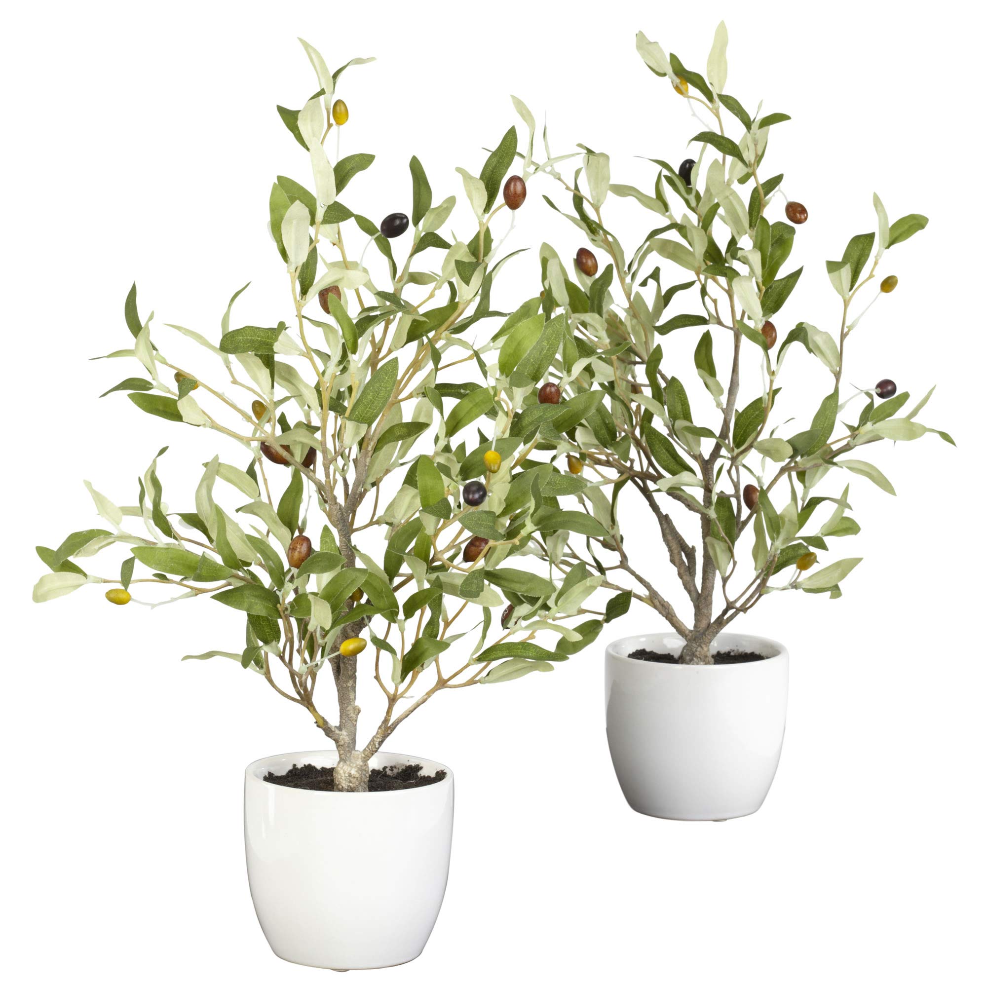 18″ Olive Silk Tree w/Vase (Set of 2)