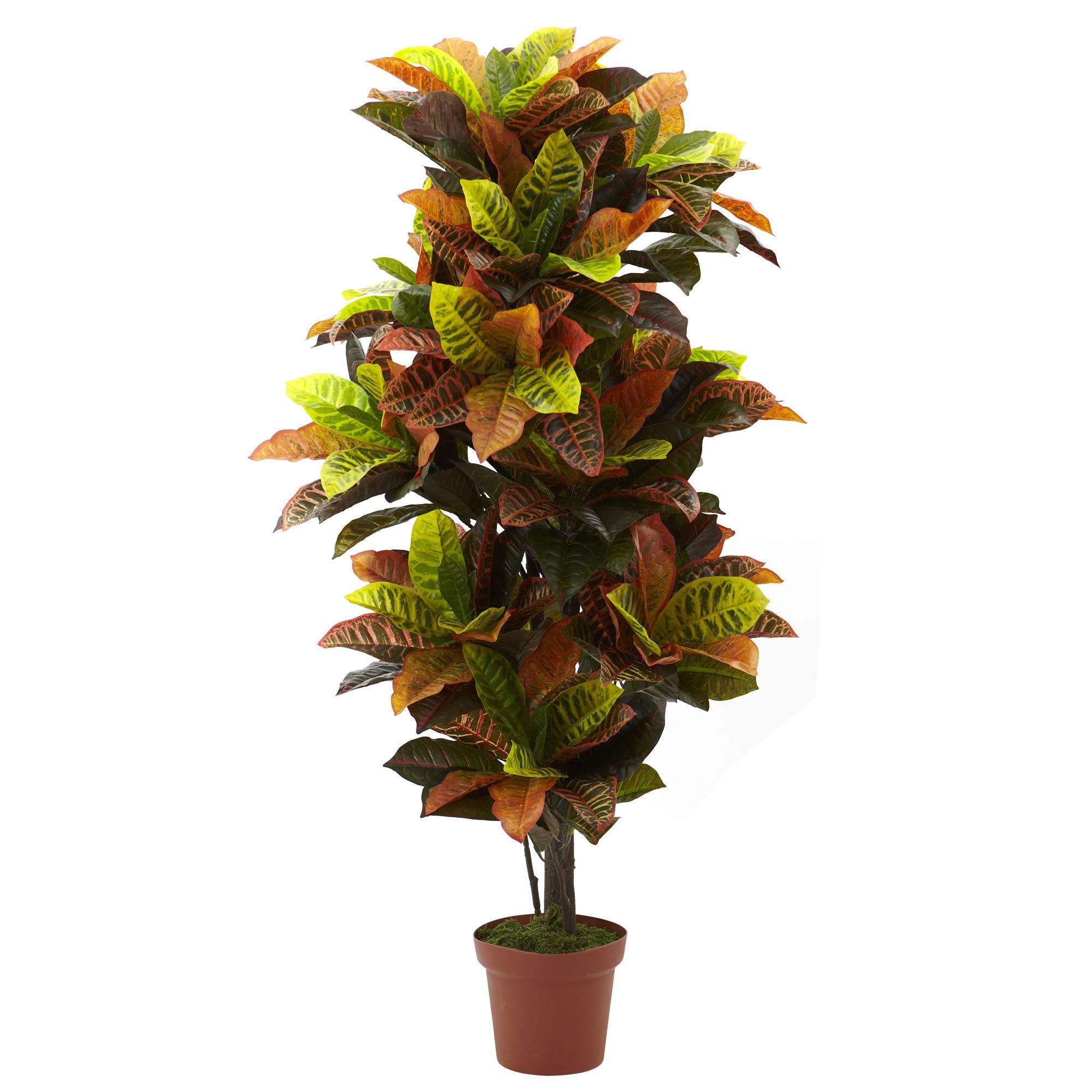 56????Croton Plant (Real Touch)