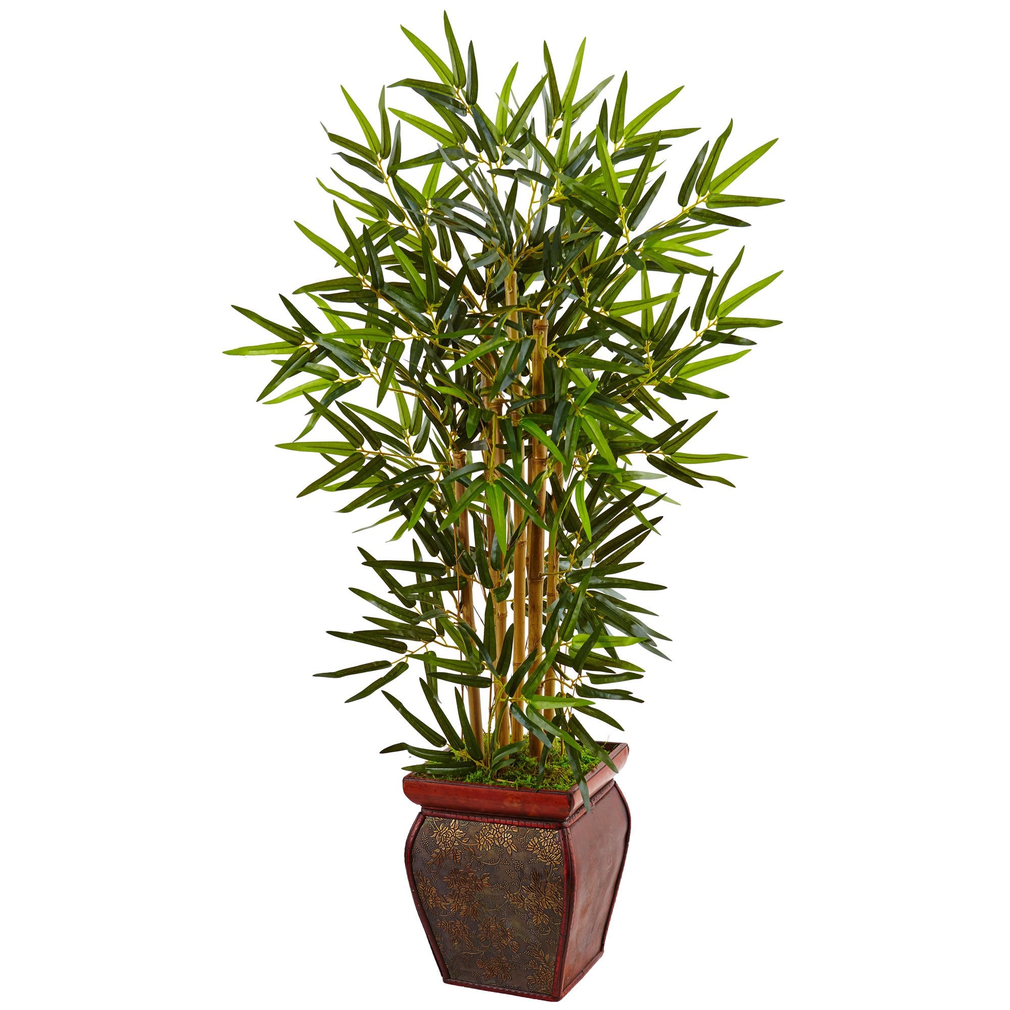 3.5 Bamboo Tree in Wooden Decorative Planter
