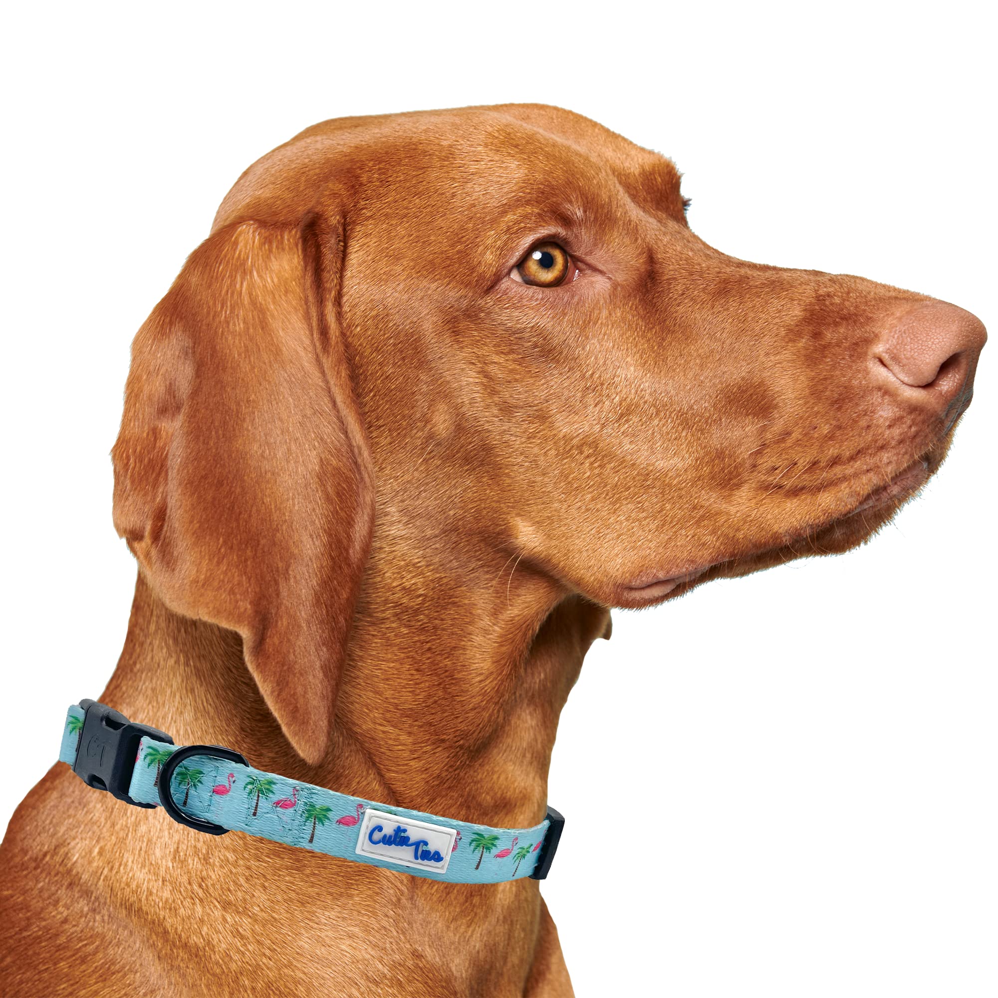 Cutie Ties Fun Design Dog Collar