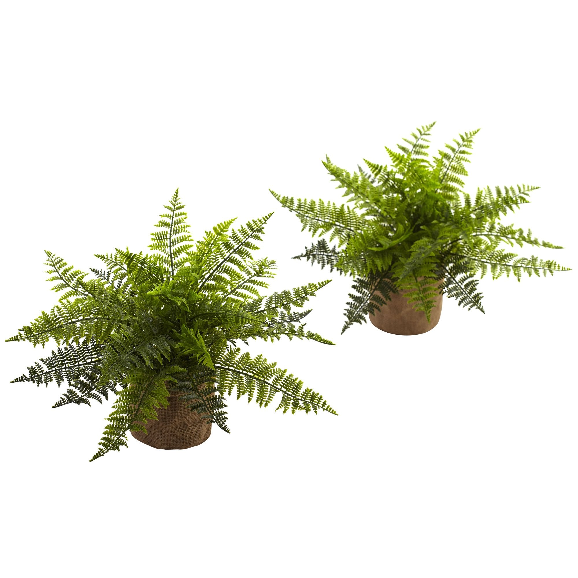 15????Ruffle Fern Bush w/Burlap Base (Set of 2)