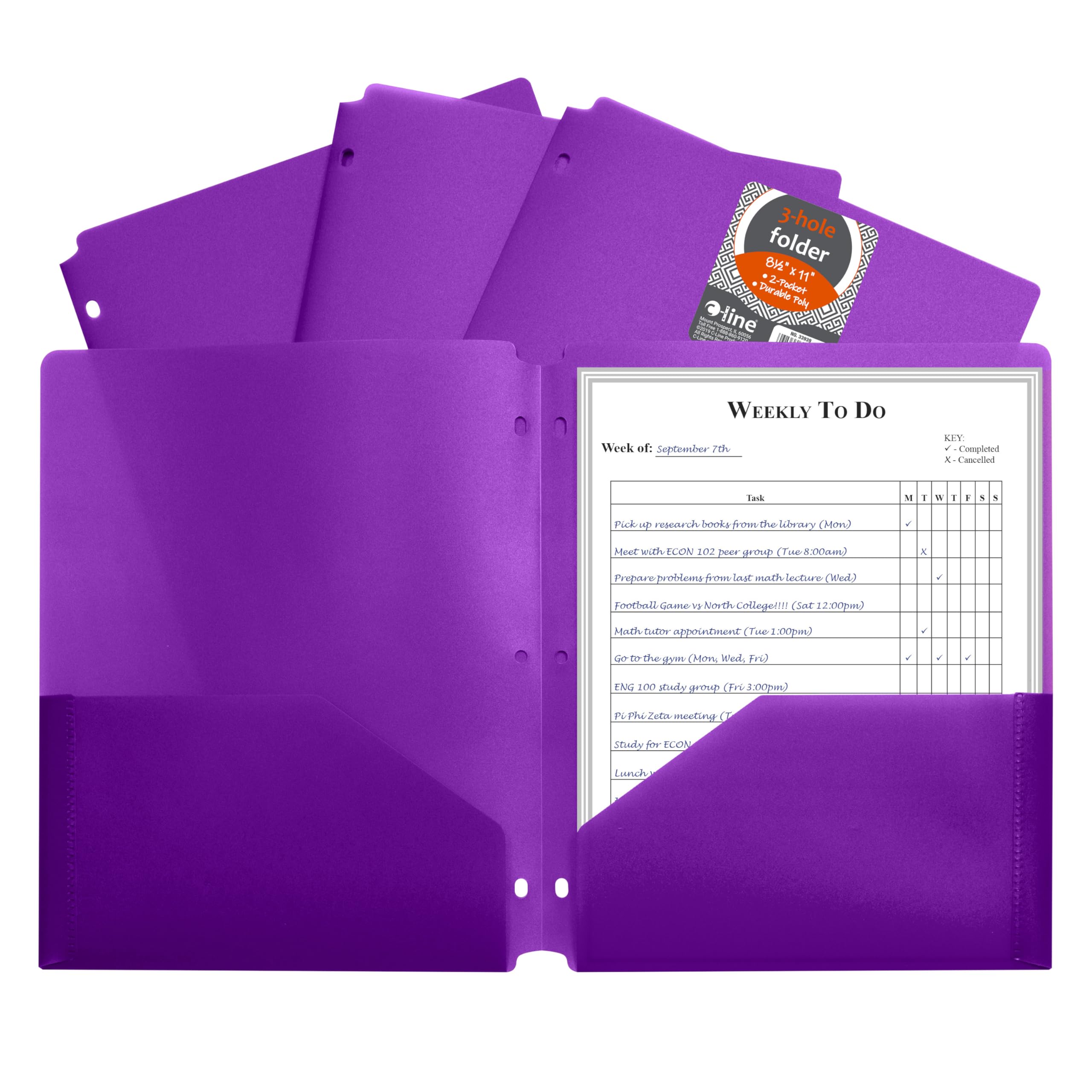 Two-Pocket Heavyweight Poly Portfolio Folder with Three-Hole Punch, Purple, 1/EA (Set of 25 EA)