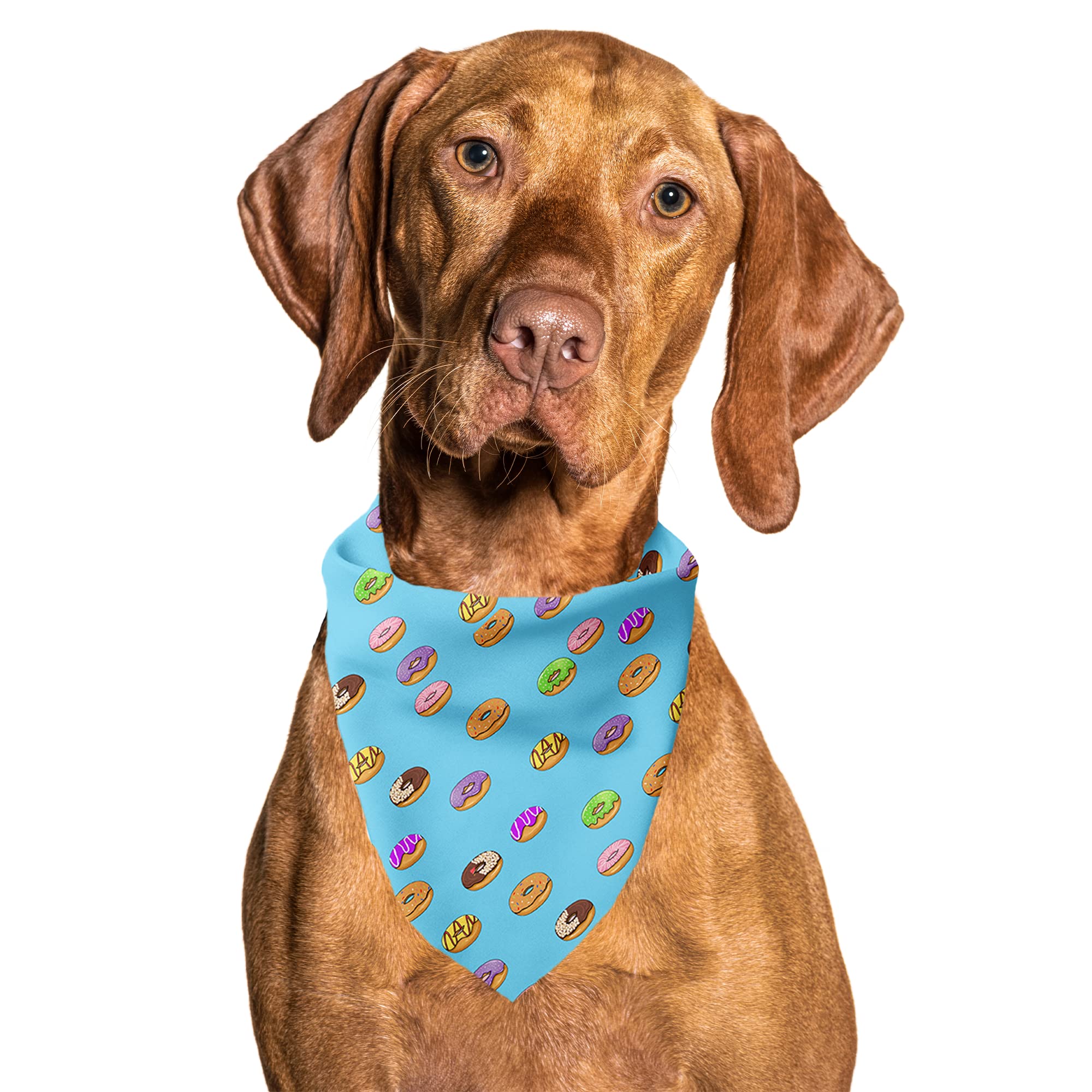 Cutie Ties Tie On Dog Bandana