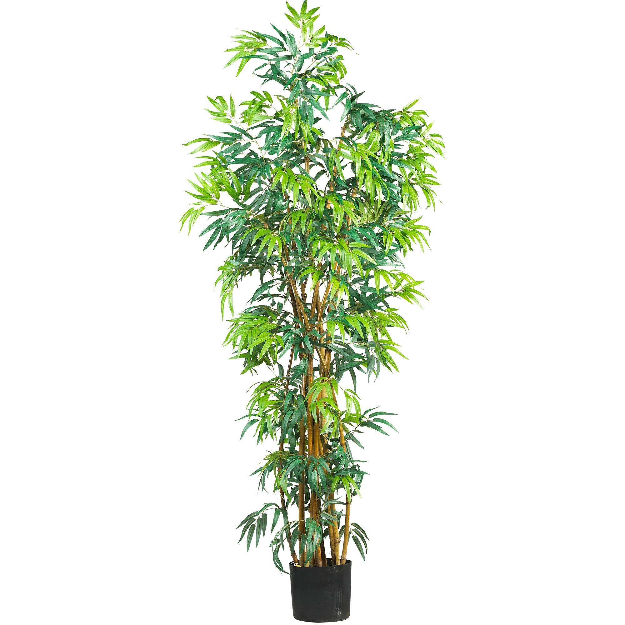 6  Fancy Style Bamboo Silk Tree