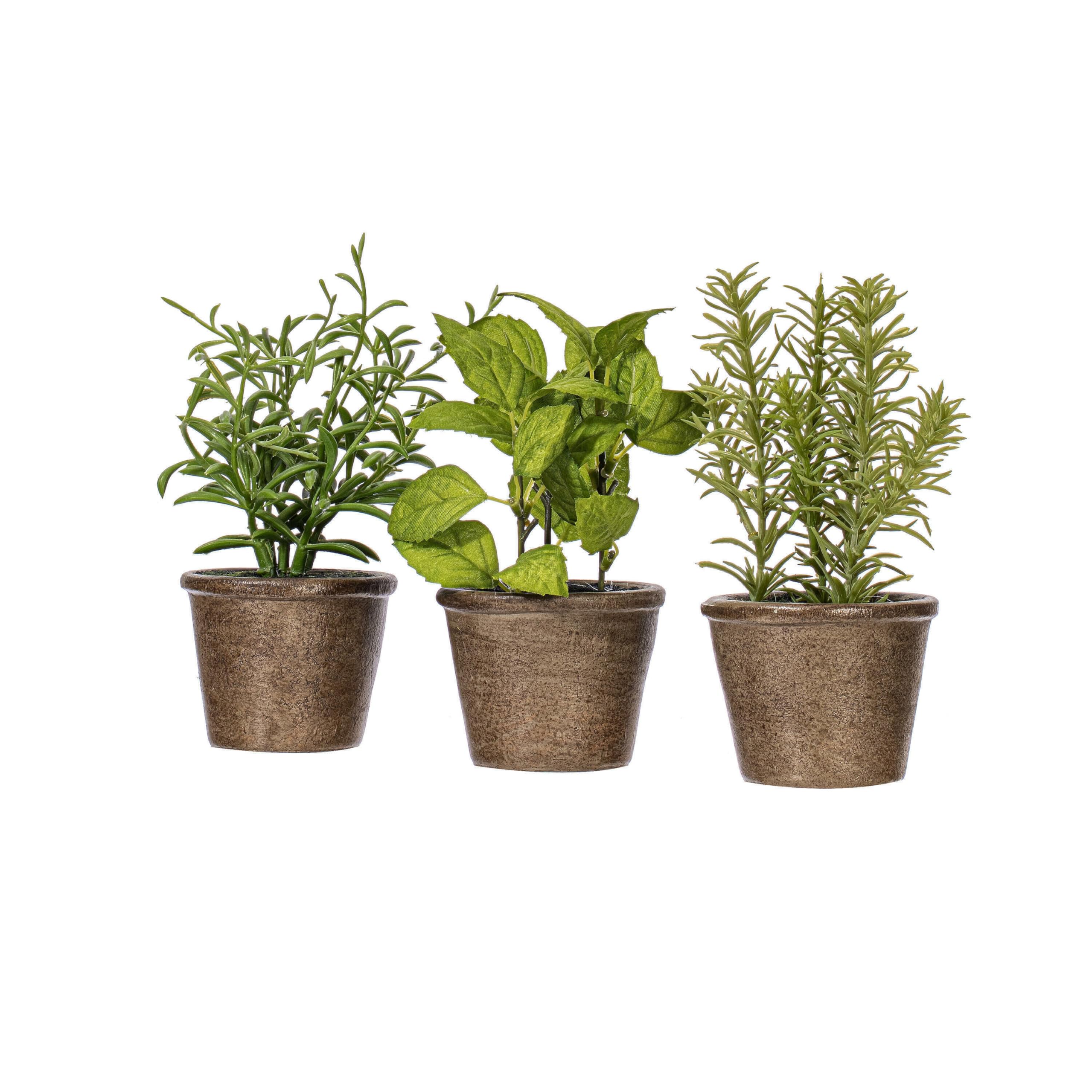Casafoyer  7” Green Potted Herbs Assort Set/3 - FE192206 | (2 Units)