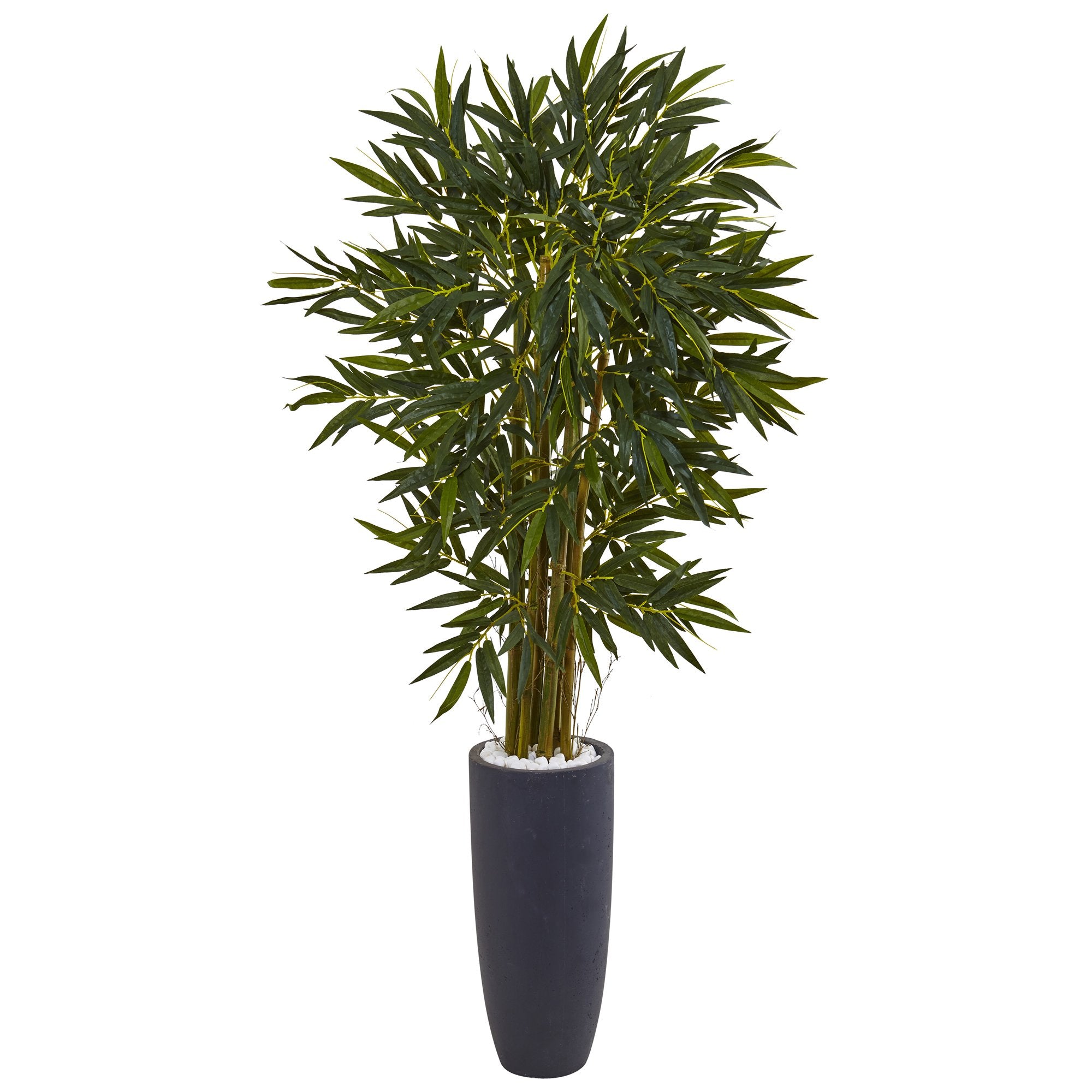 6.5 Bamboo Tree in Gray Cylinder Planter