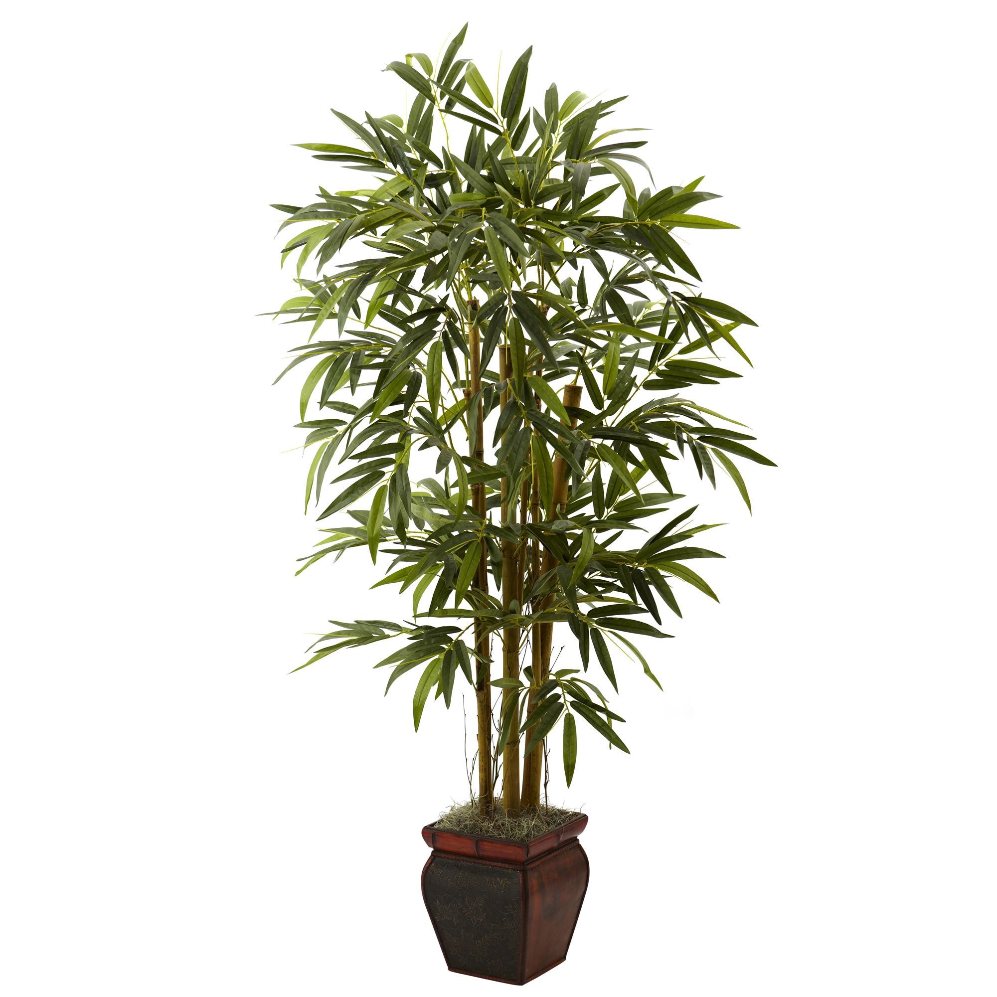 5.5″ Bamboo w/Decorative Planter