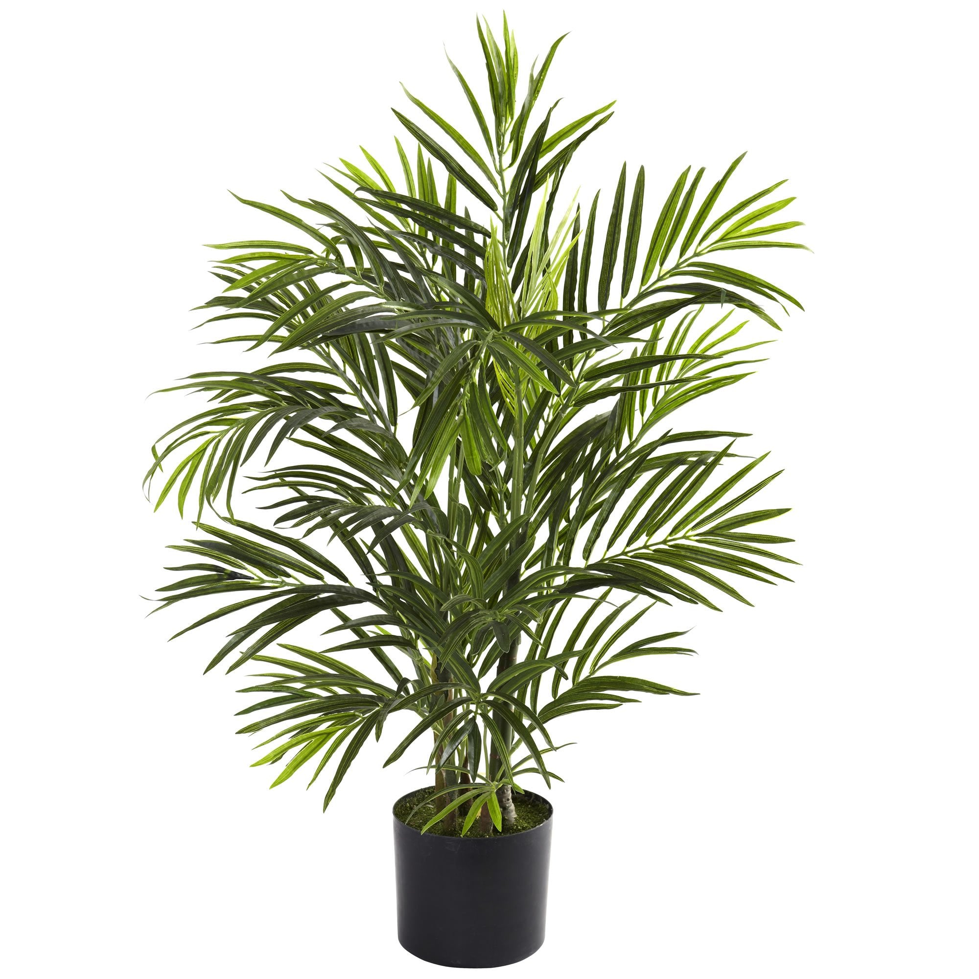 2.5 Areca Palm UV Resistant (Indoor/Outdoor)