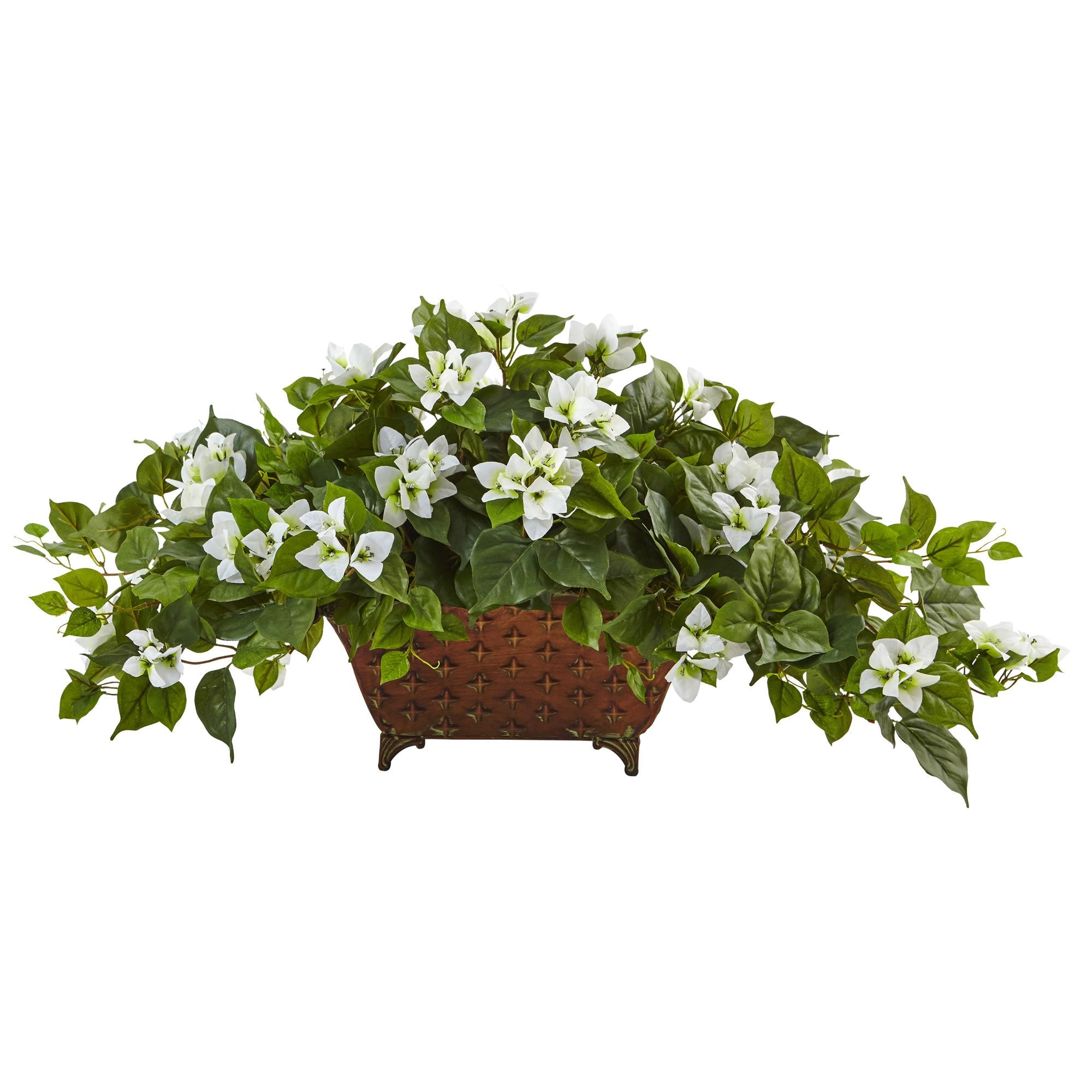Bougainvillea in Metal Planter
