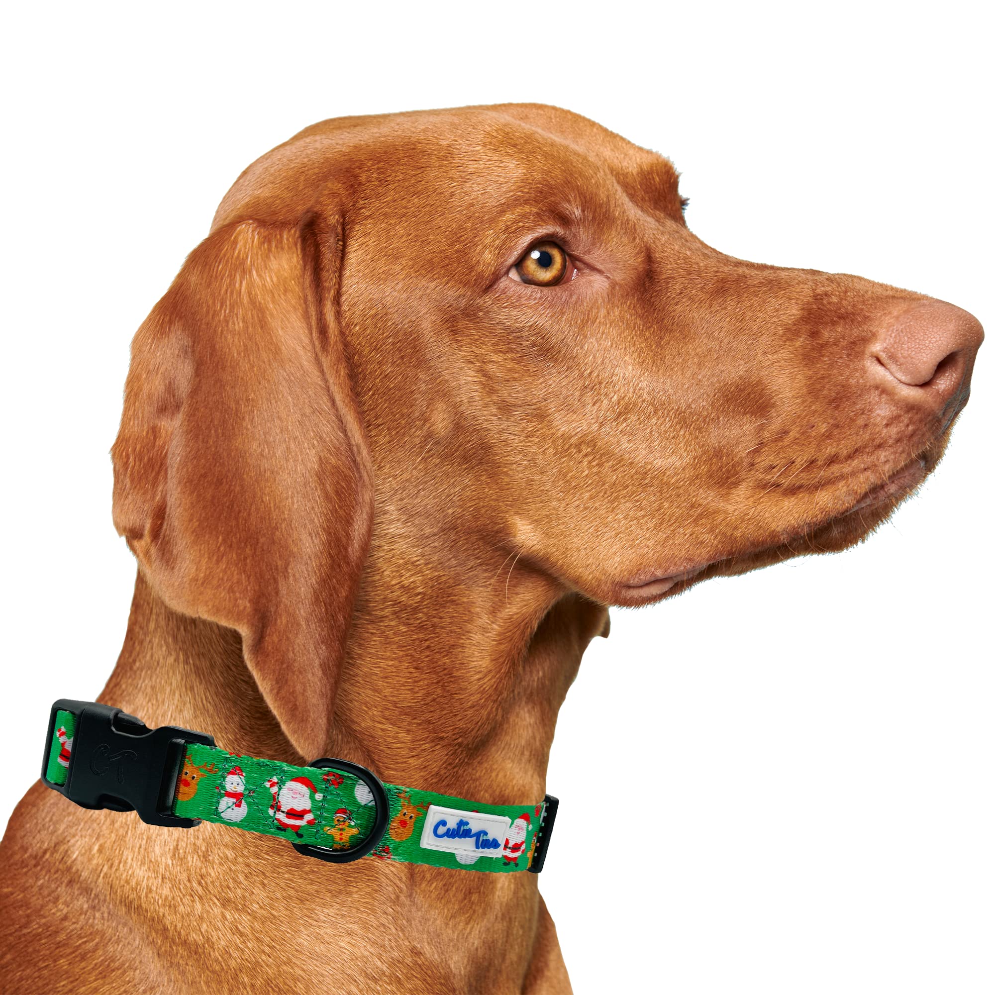 Cutie Ties Fun Design Dog Collar