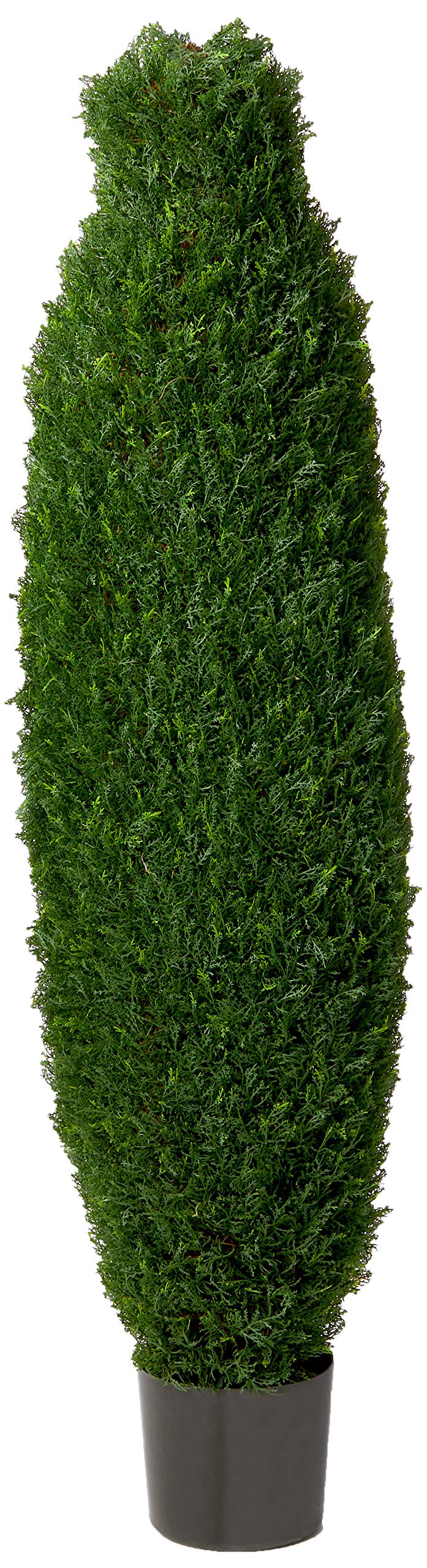 5″ Cypress Tree UV Resistant (Indoor/Outdoor)